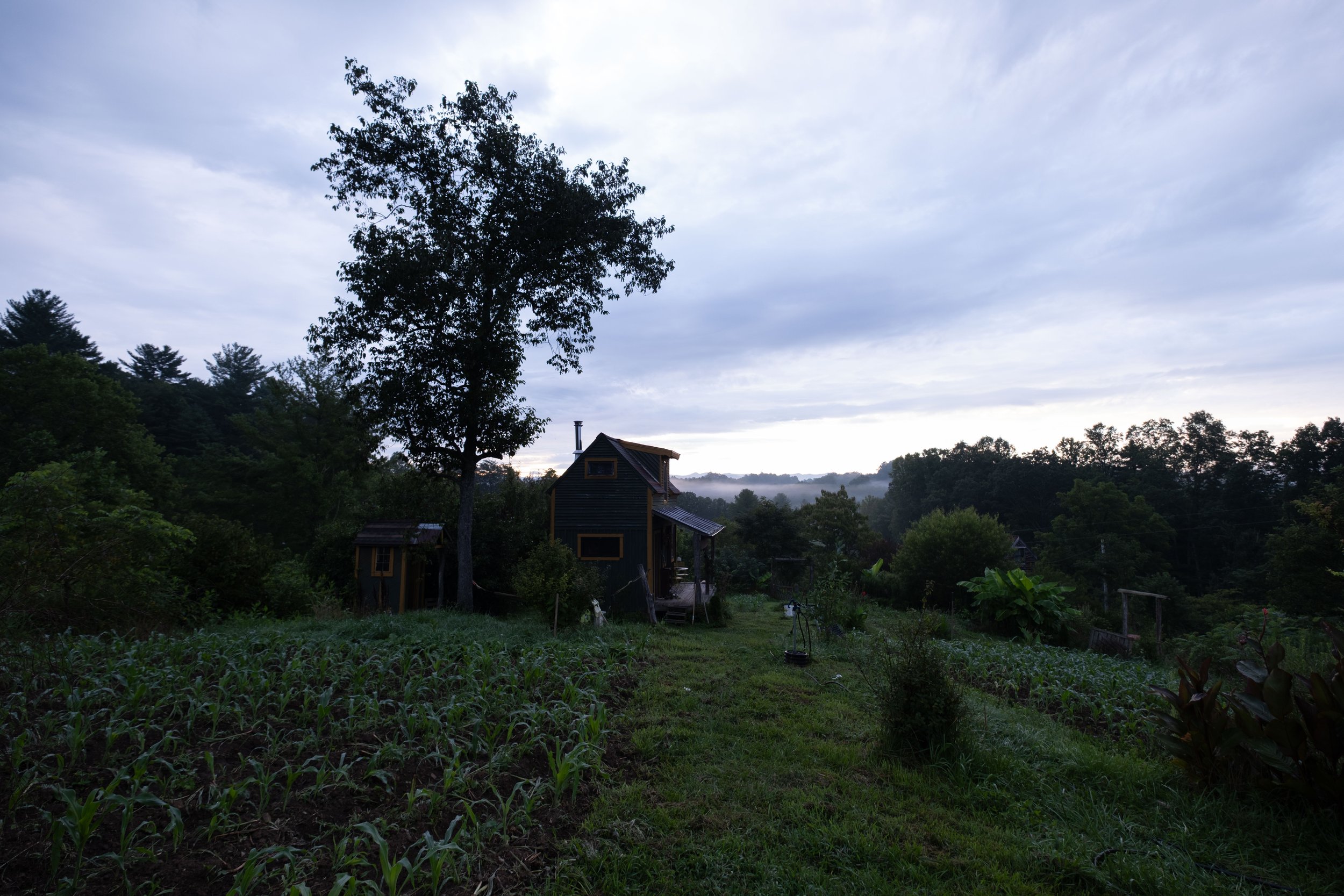 DSCF1564.jpg