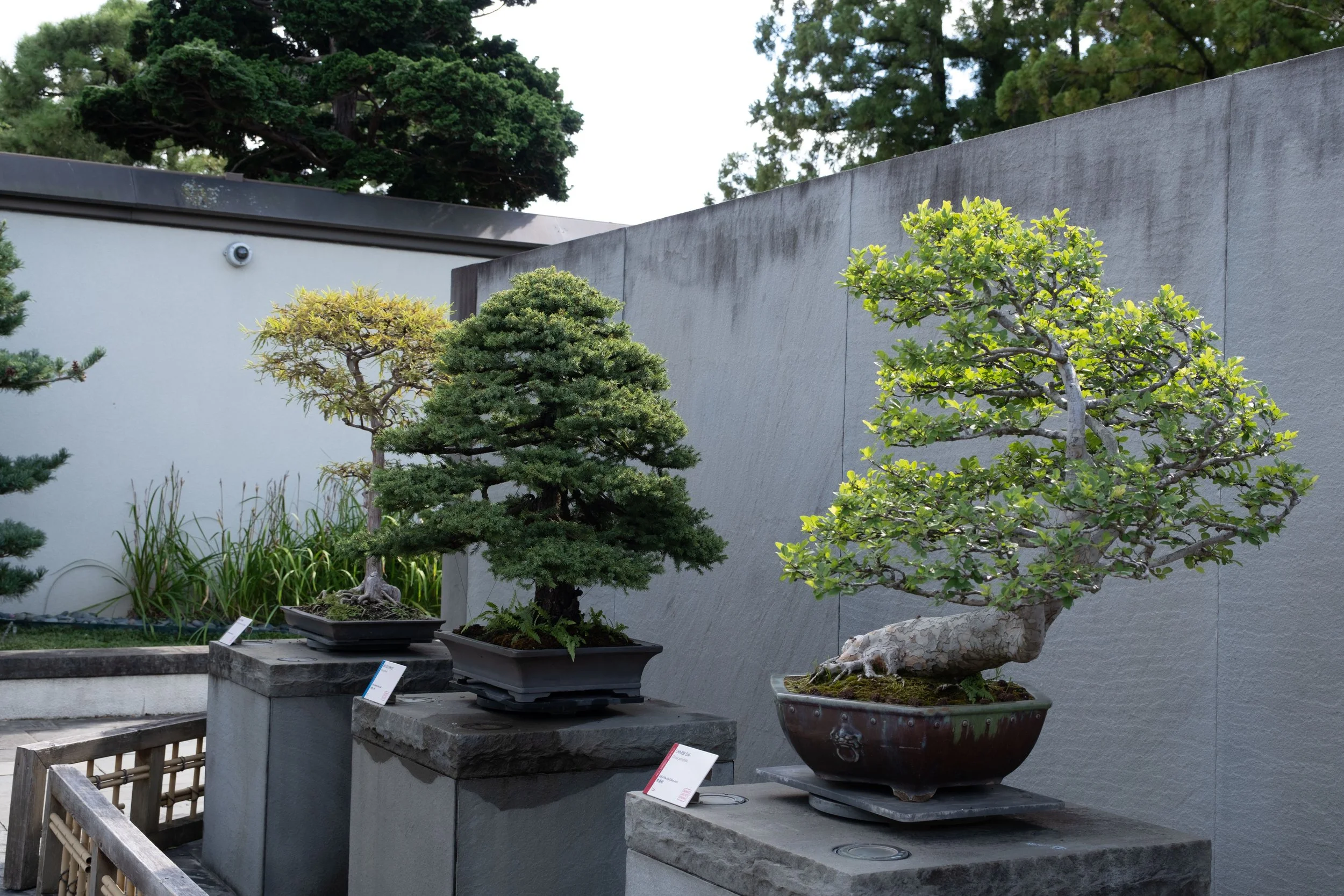 DSCF2226.jpg