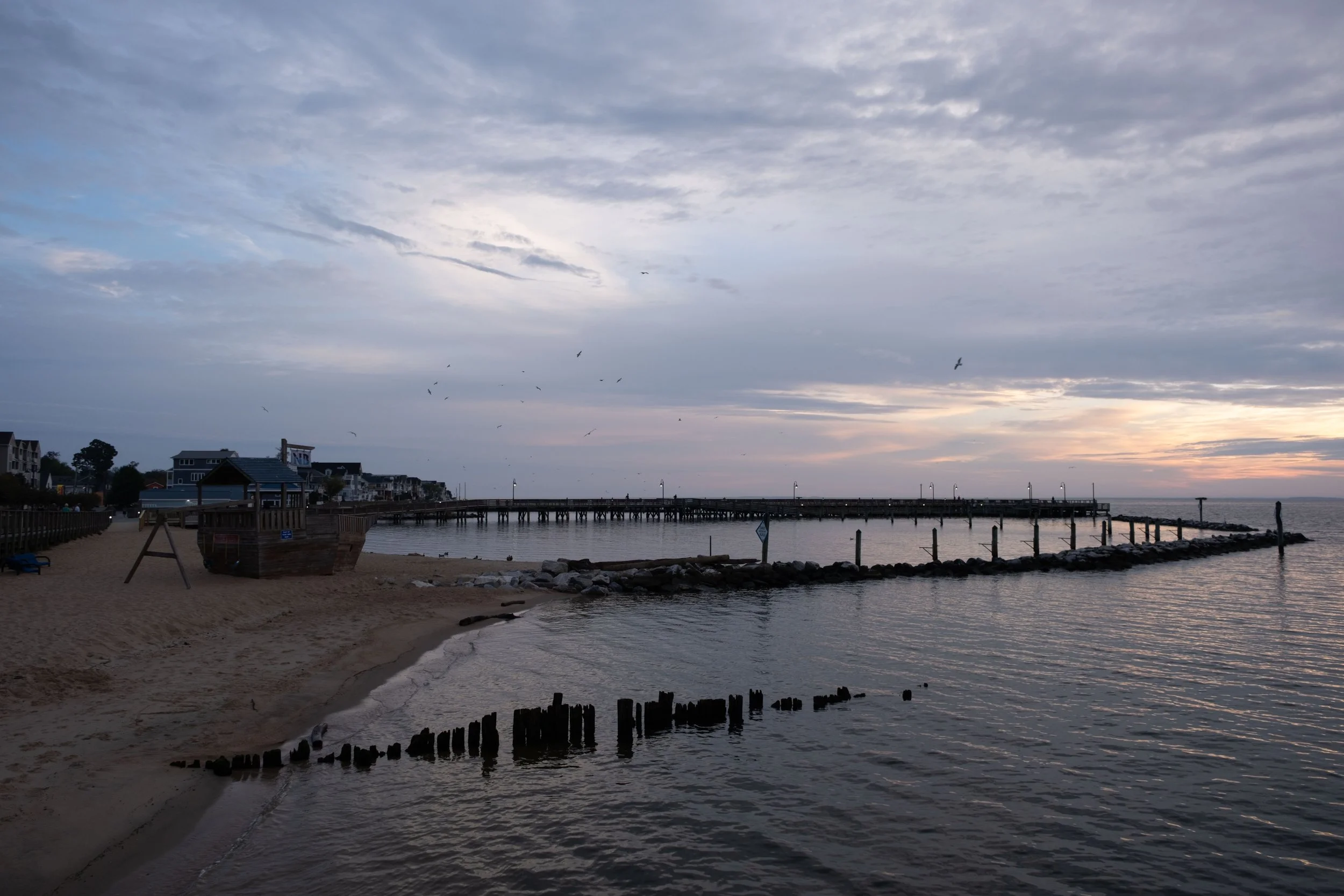 DSCF2398.jpg