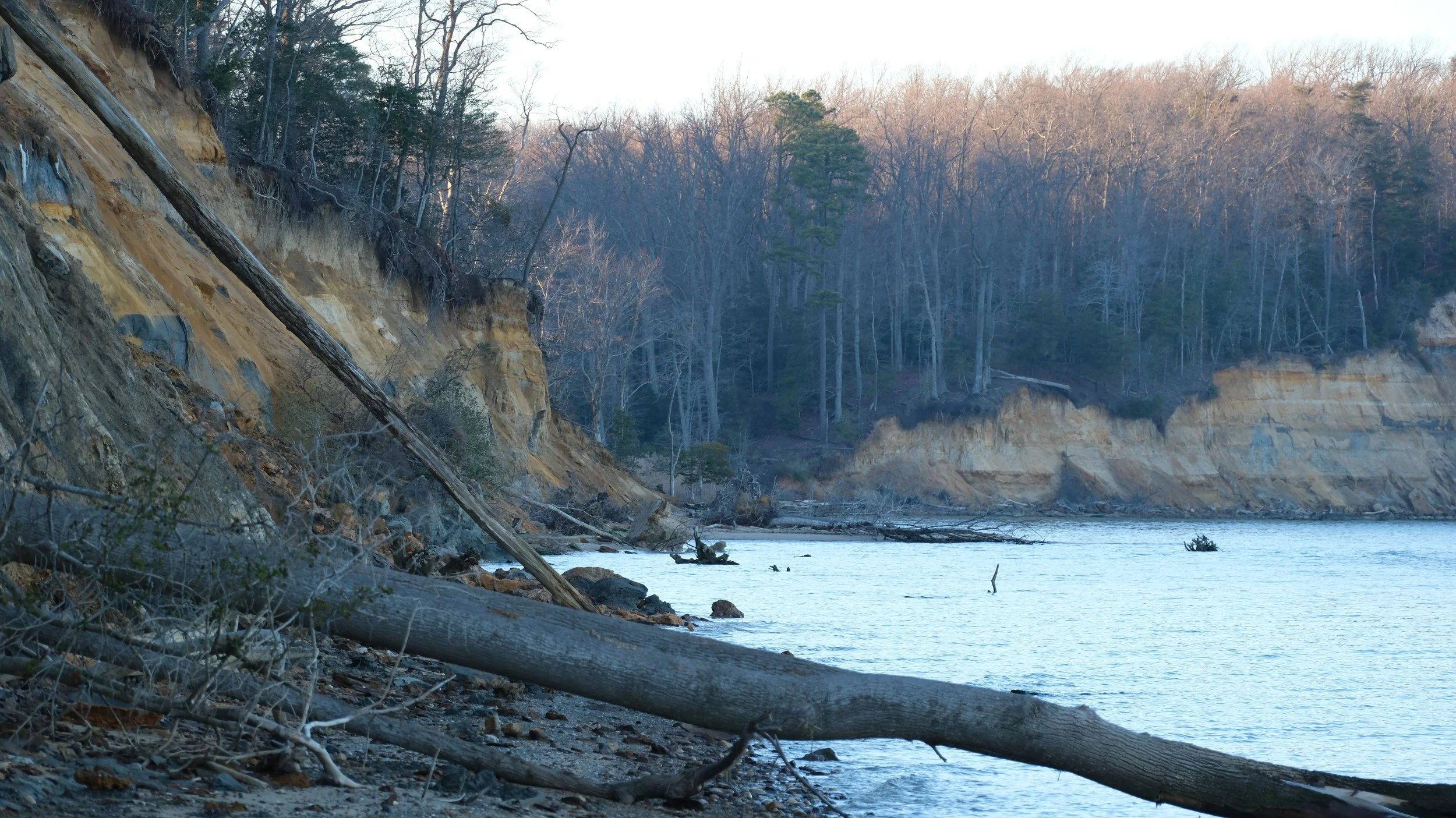 DSCF0938.jpg