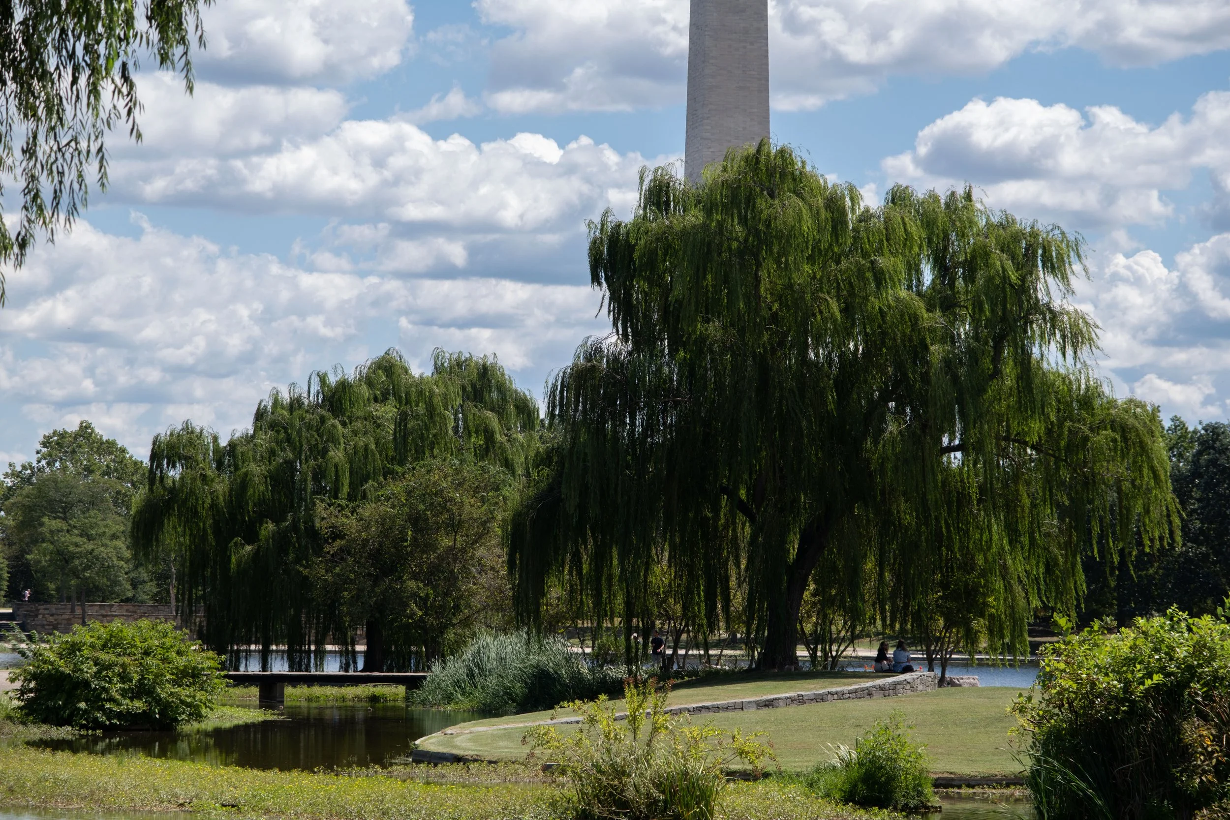 Washington D.C.
