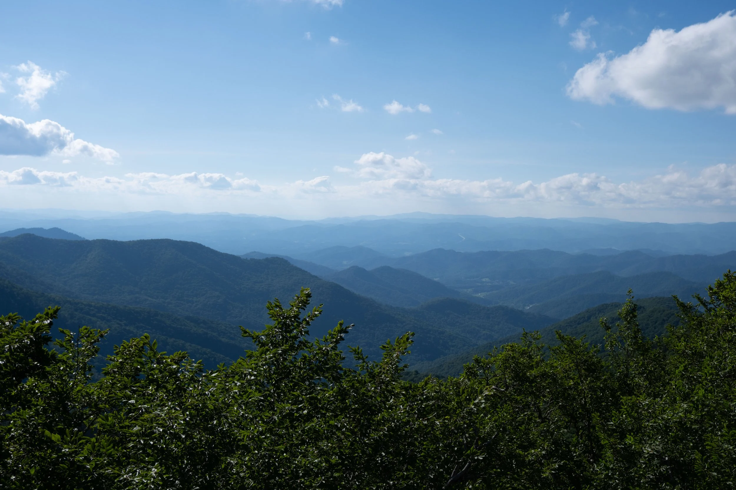 DSCF0094.jpg