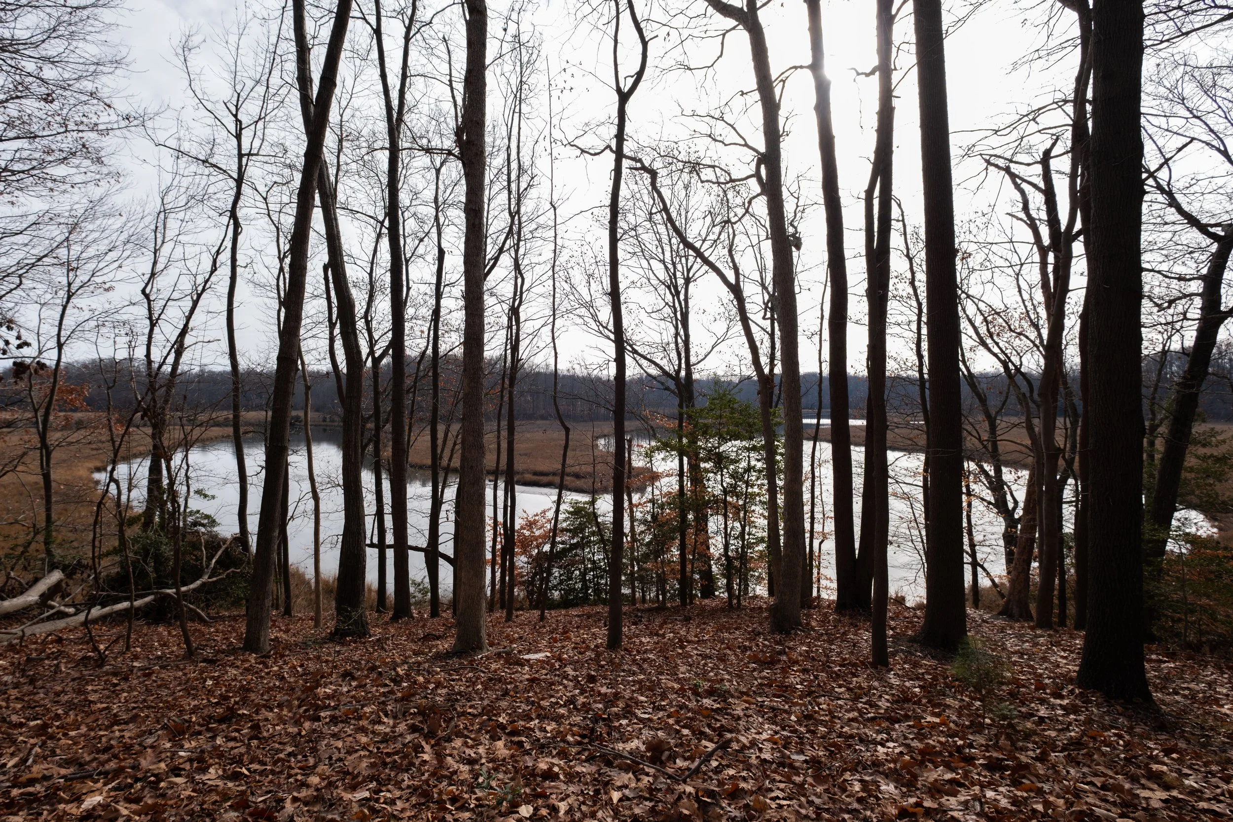 DSCF1762.jpg