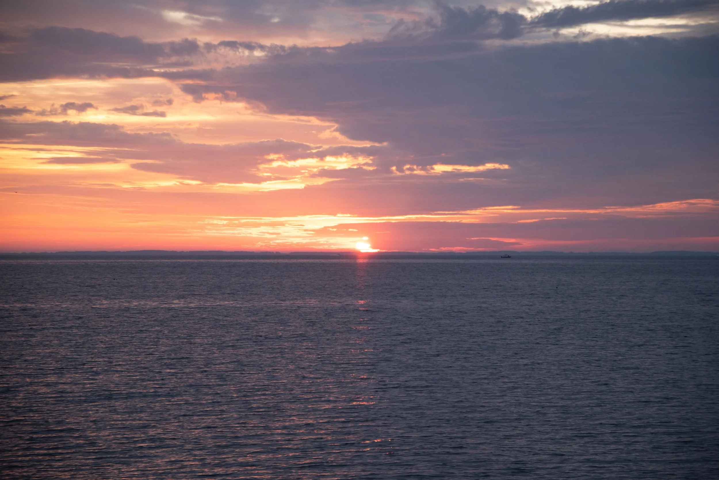 DSCF2393.jpg