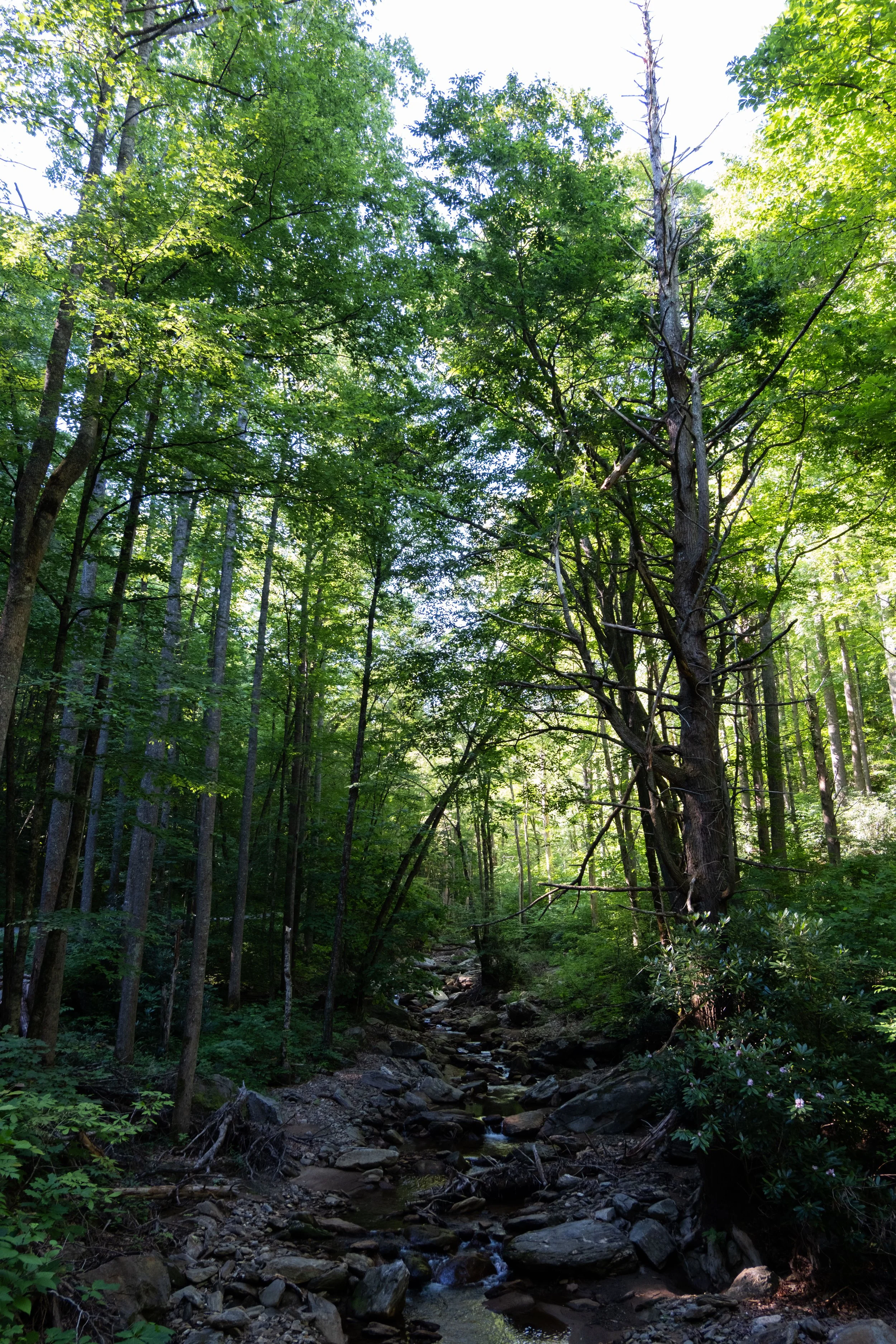 DSCF0389.jpg