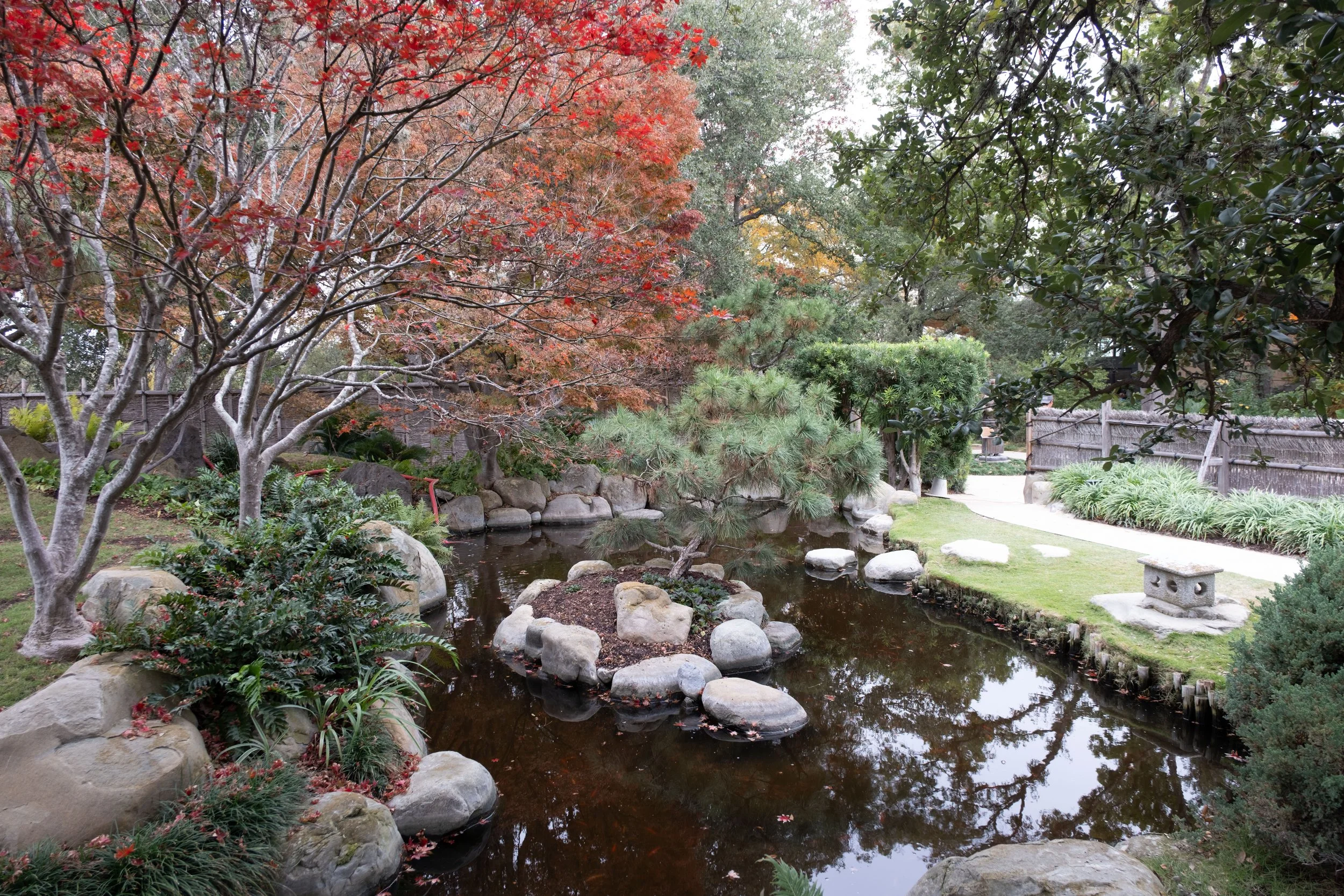DSCF0366.jpg