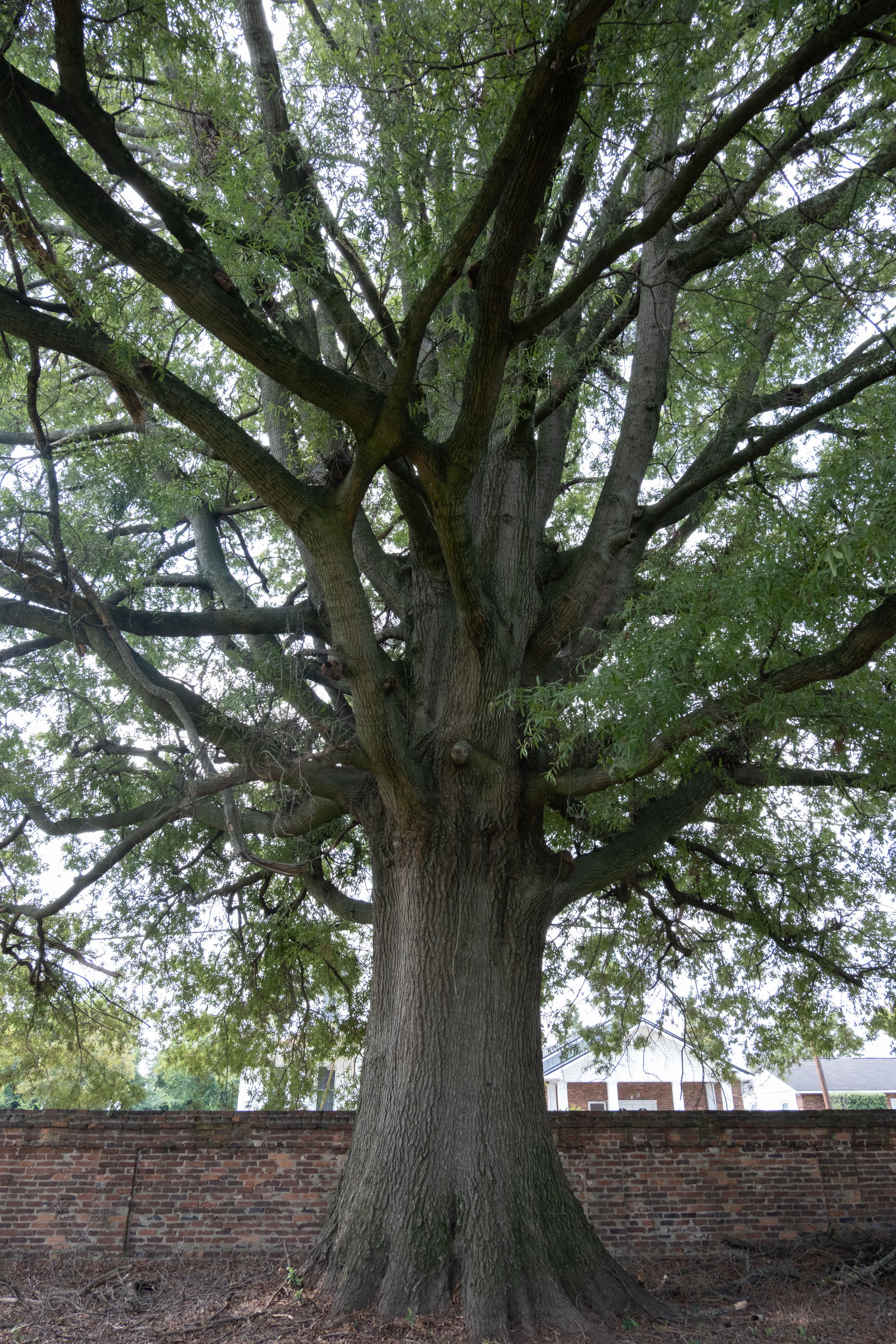 DSCF0645.jpg
