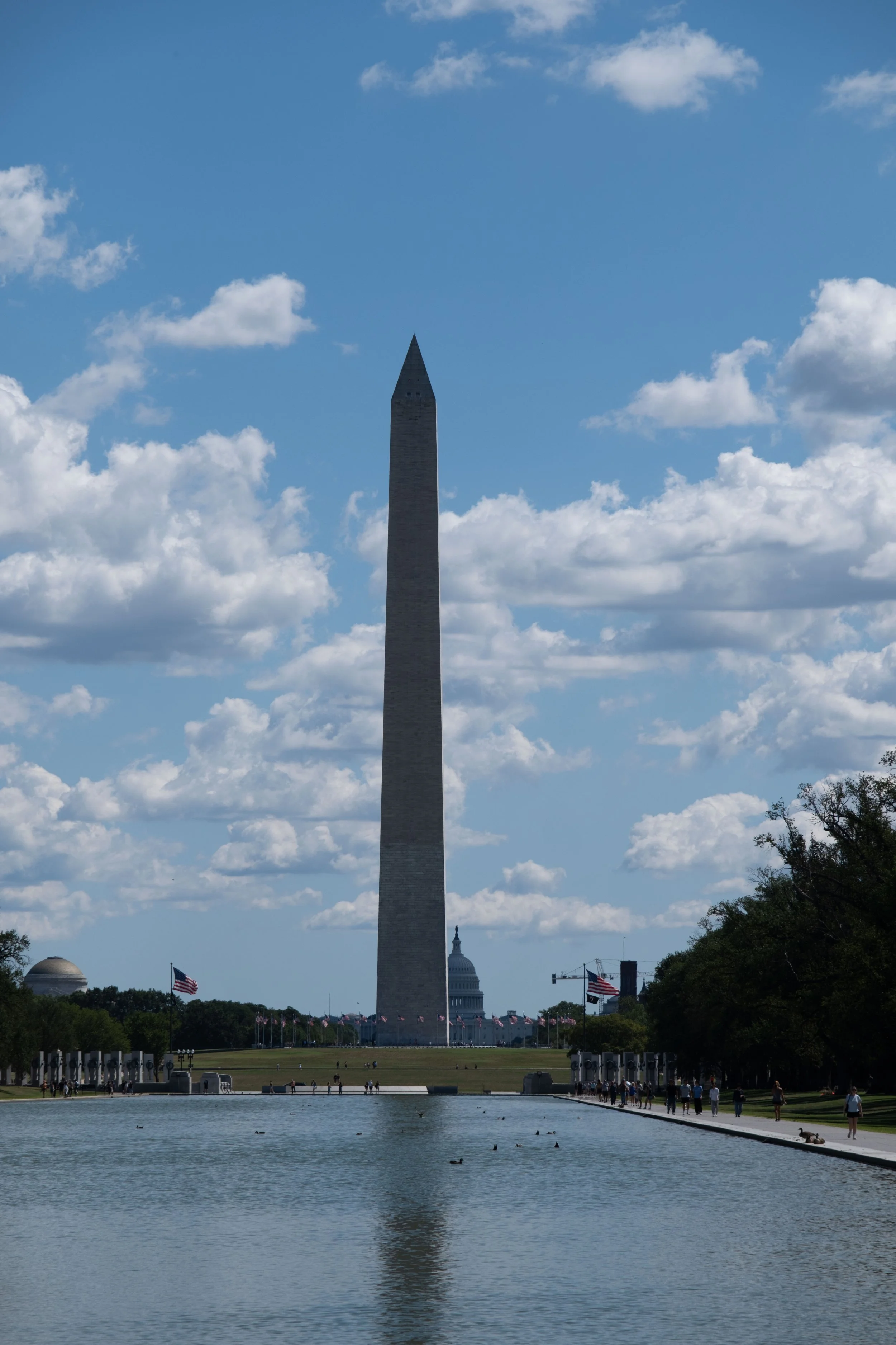 DSCF1797.jpg