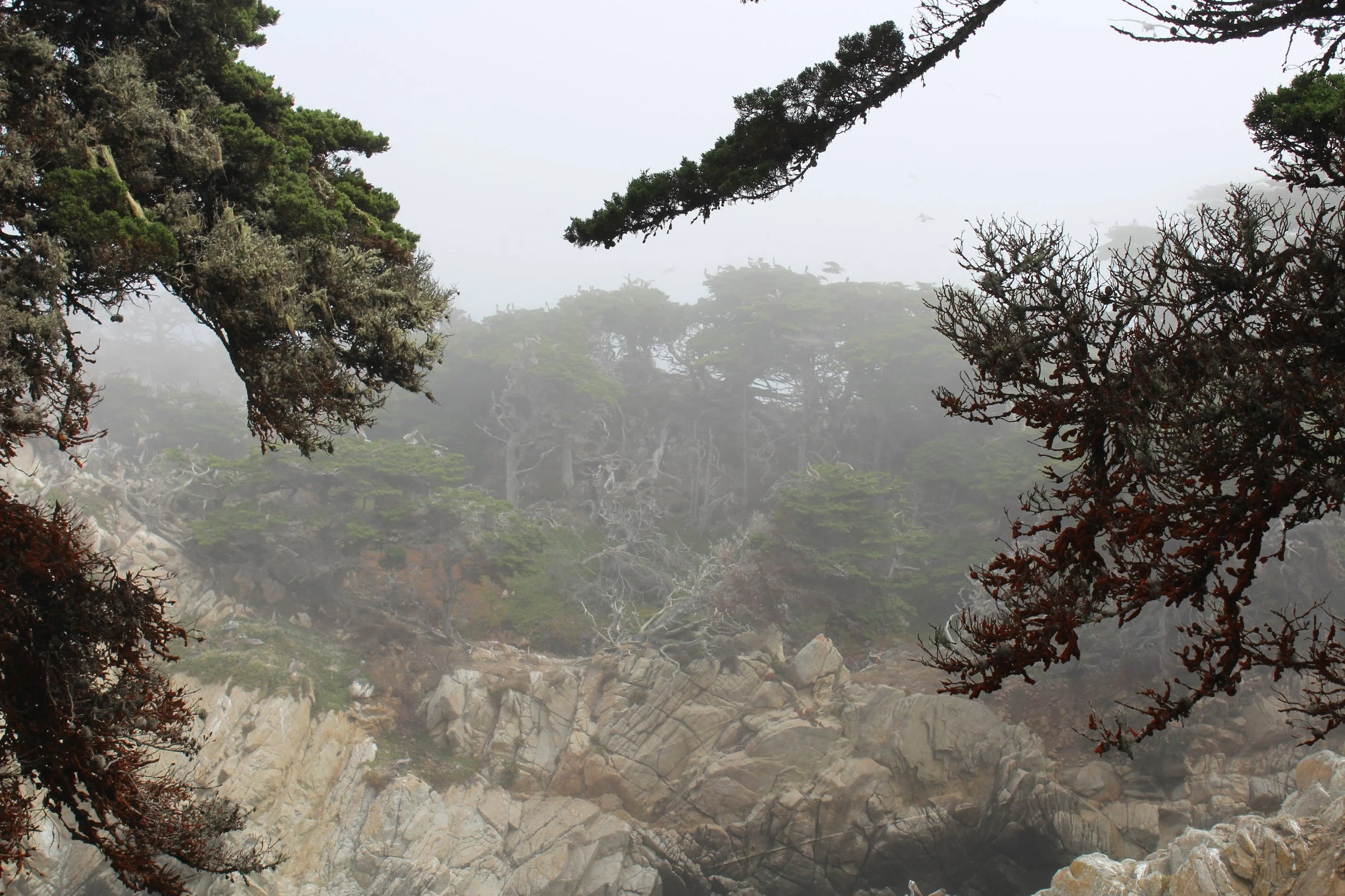IMG_2771.JPG