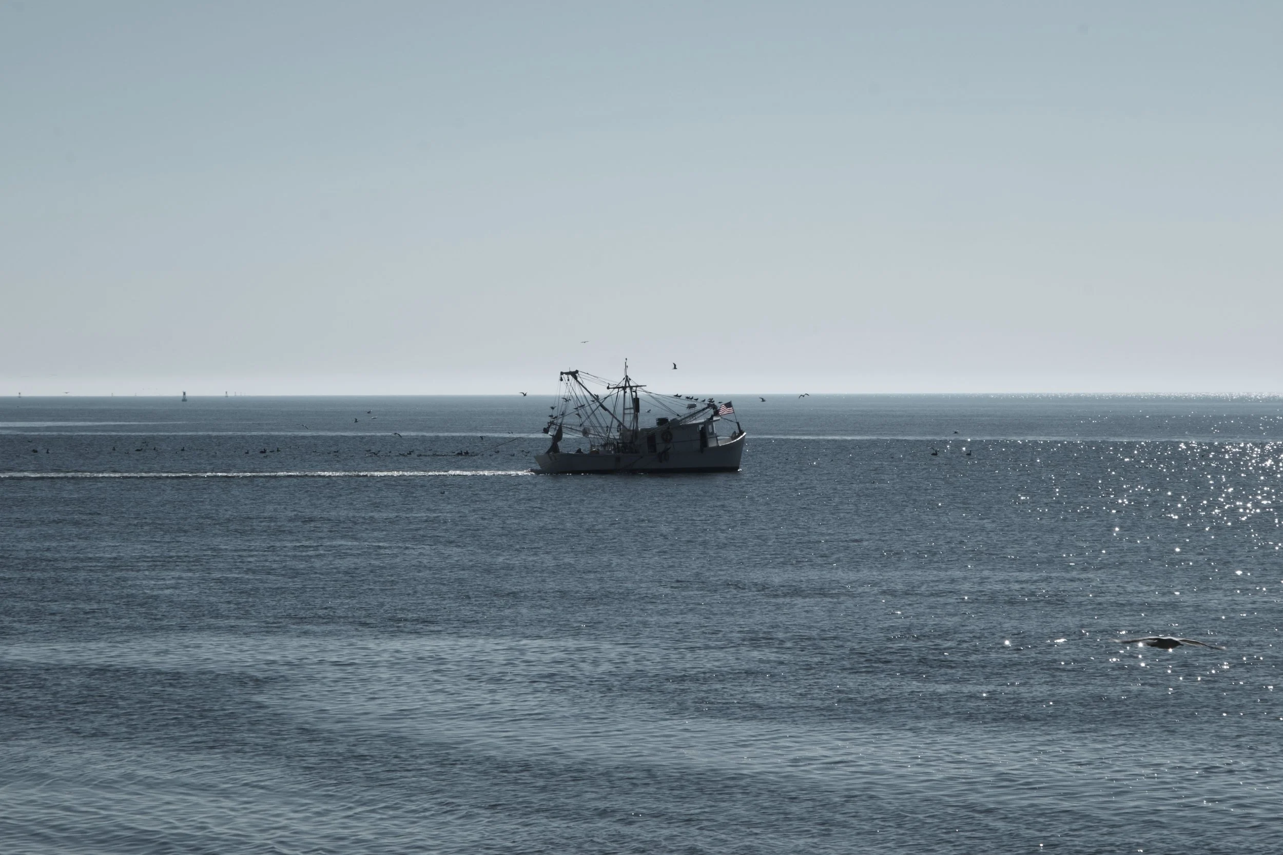 DSCF2513.jpg