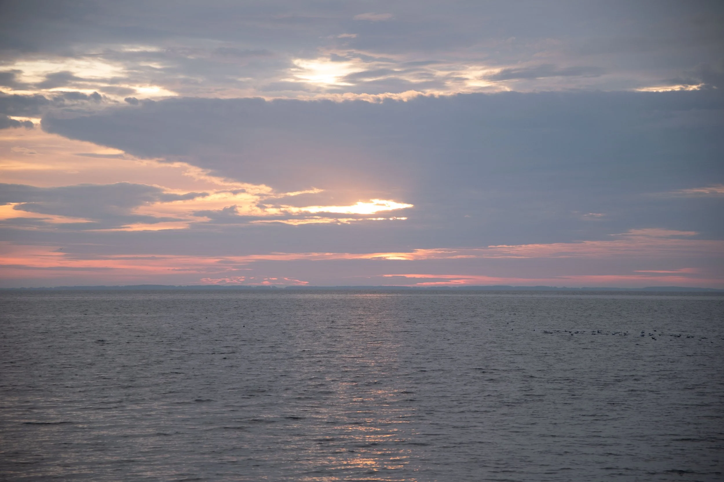 DSCF2401.jpg