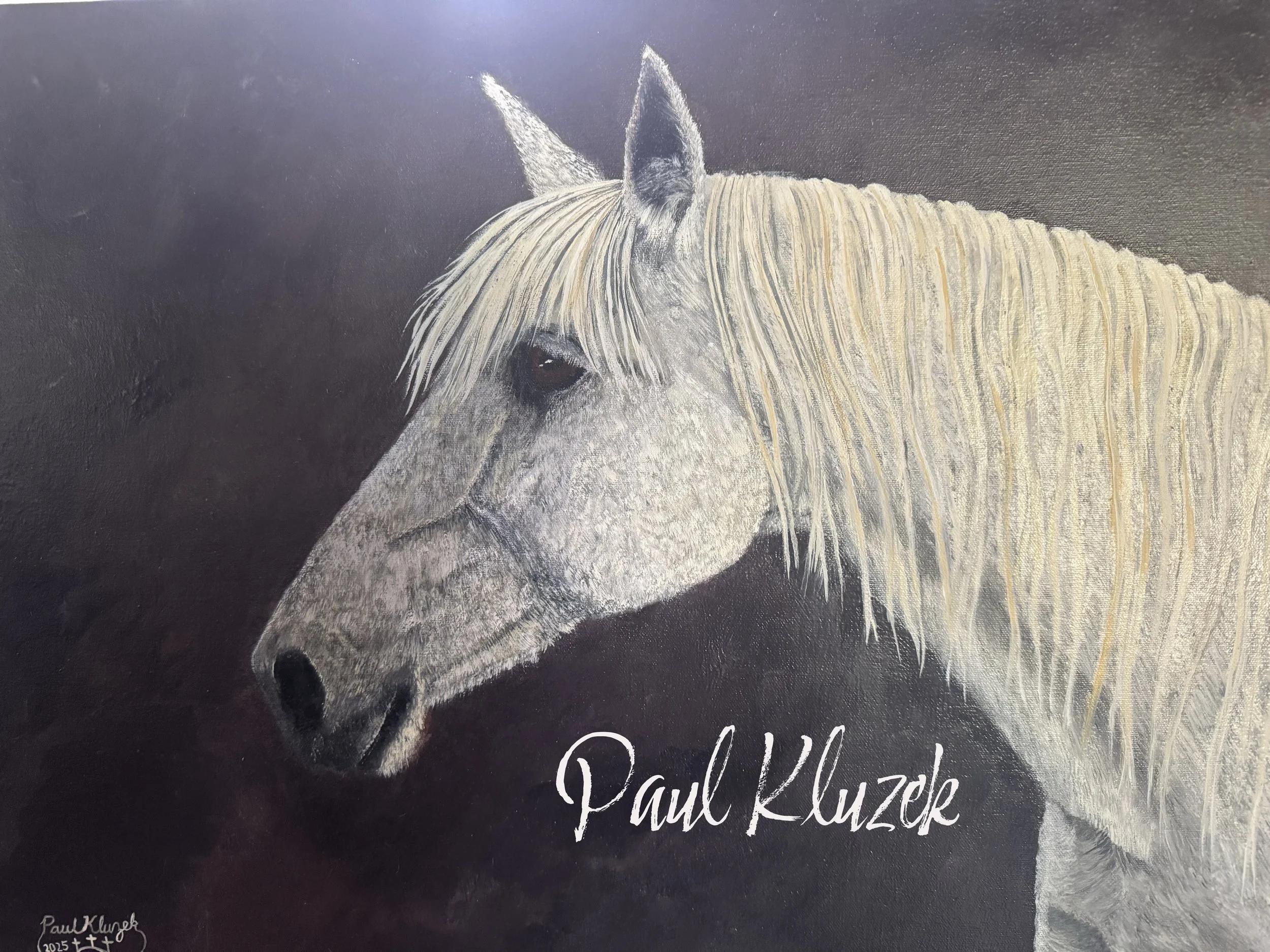 Painting of a white horse with a blonde mane on a dark background. The name 'Paul Kluzek' is written in white cursive at the bottom.