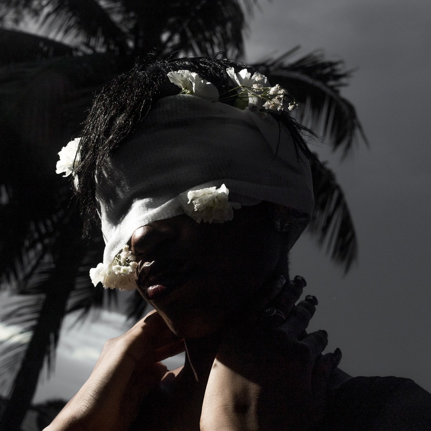 SoftScars 
NOIR HAVEN Archive 2

Artwork by @robertoxch 
Muse @keyytolifee