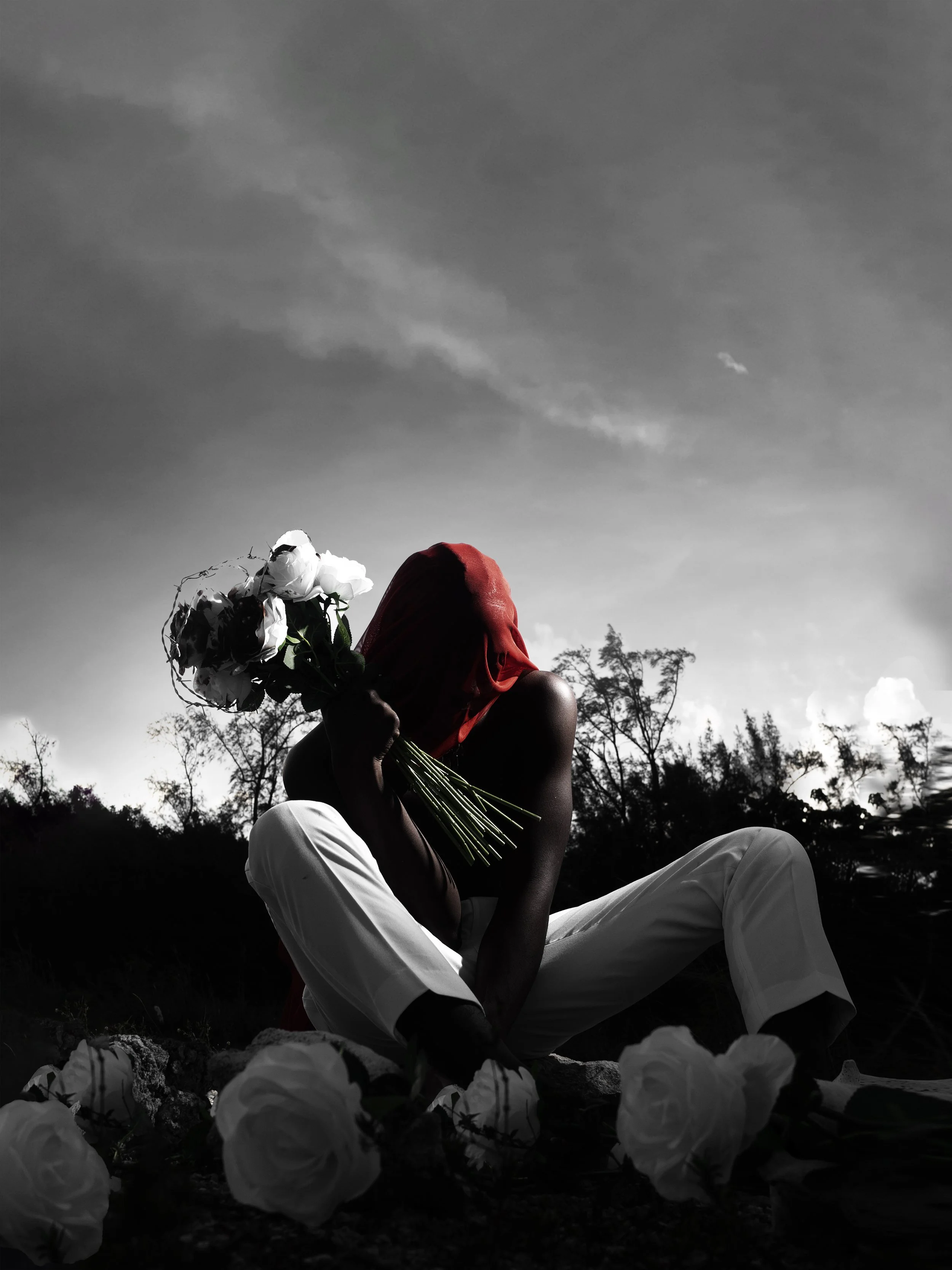 Person with a red cloth covering their head, holding a bouquet of white roses to their face, sitting outdoors with a dark silhouette of trees in the background and white roses on the ground. a lover, shield of identity, it's Noir haven by robertoxch