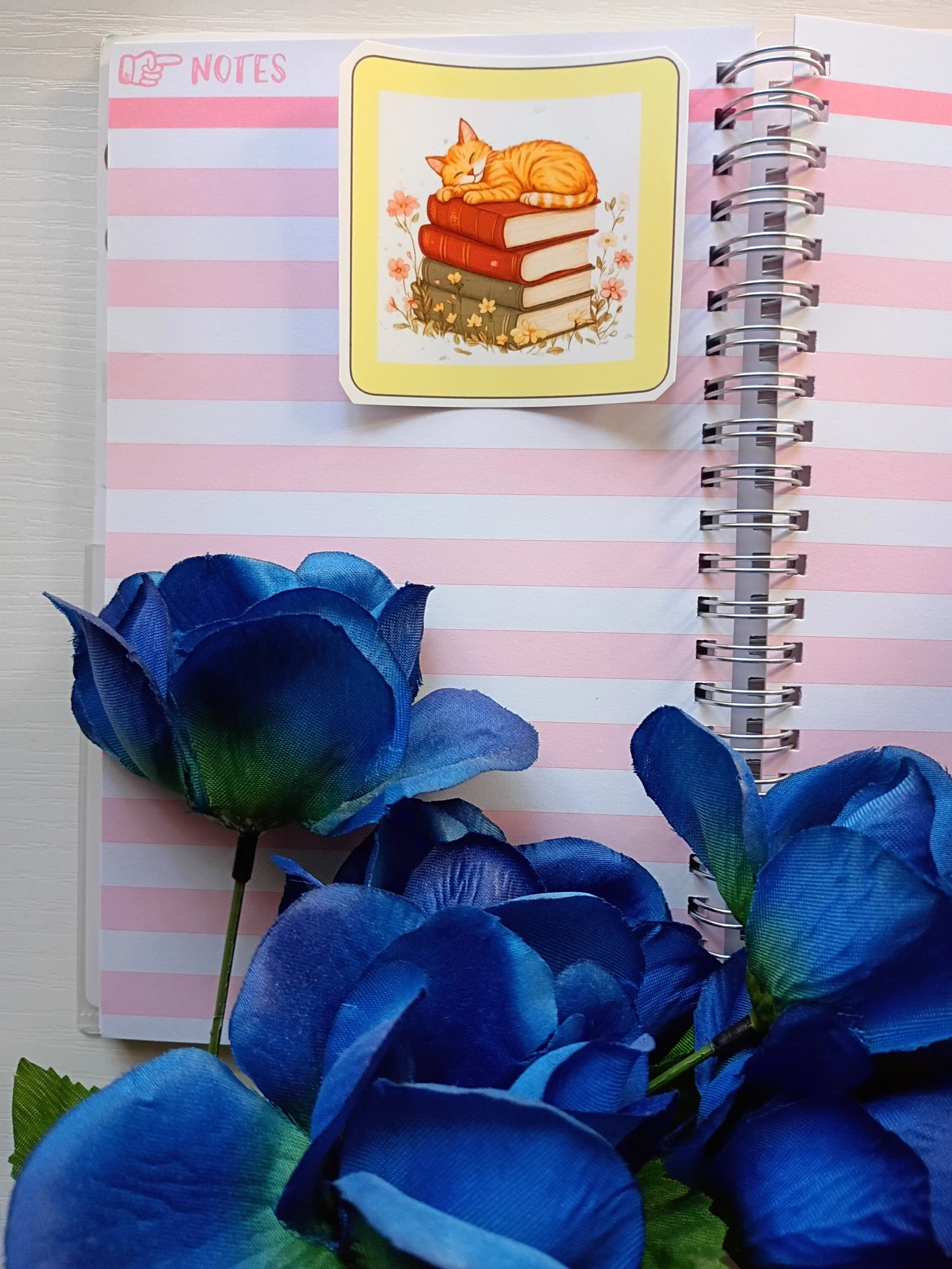 Cat sleeping on stack of books sticker.jpg