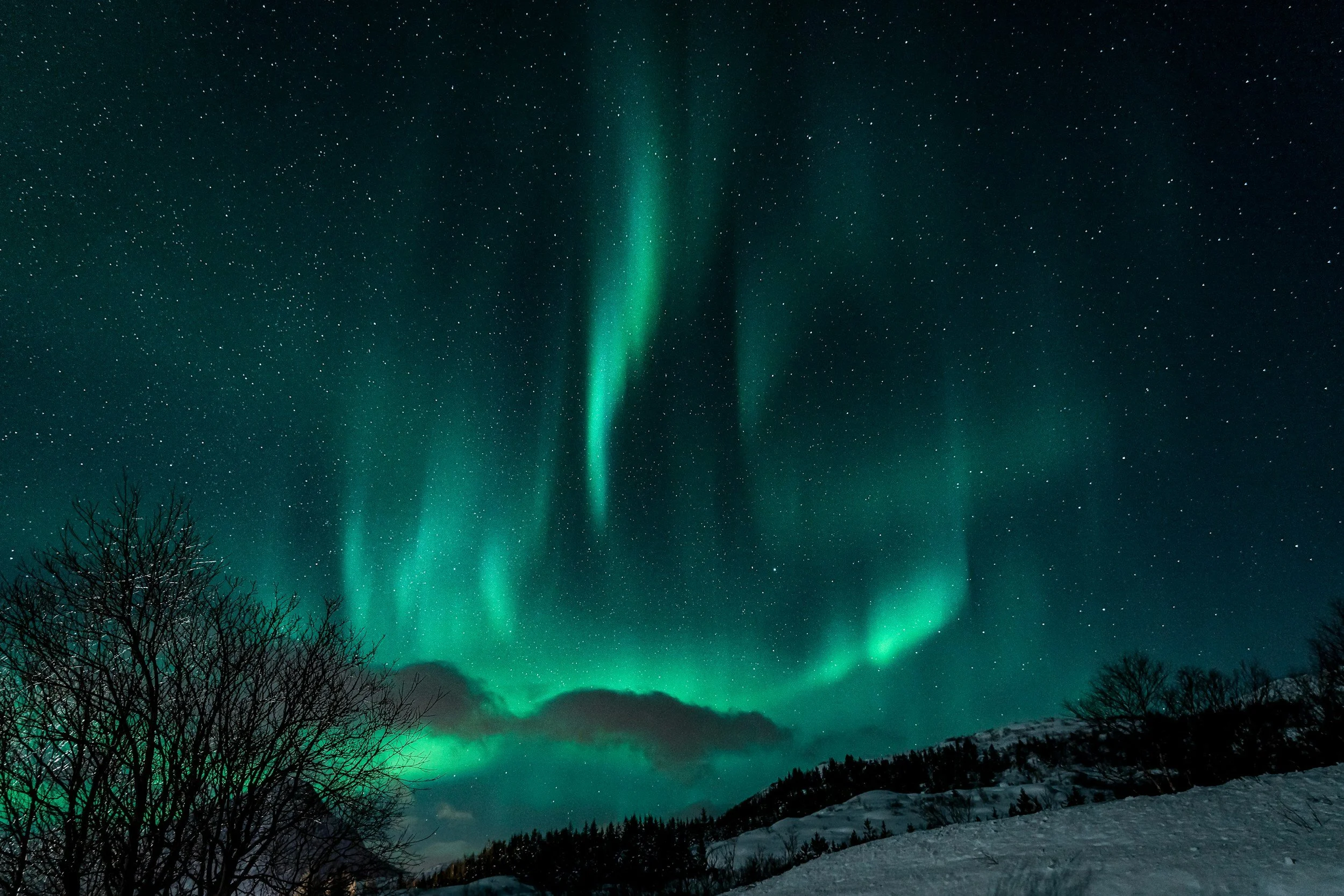 Northern lights glowing green in the night sky with stars, snow-covered ground, and silhouette of trees and hills.