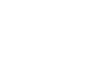 brand management logo