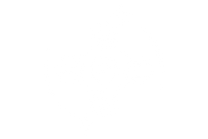 integrated campaigns icon