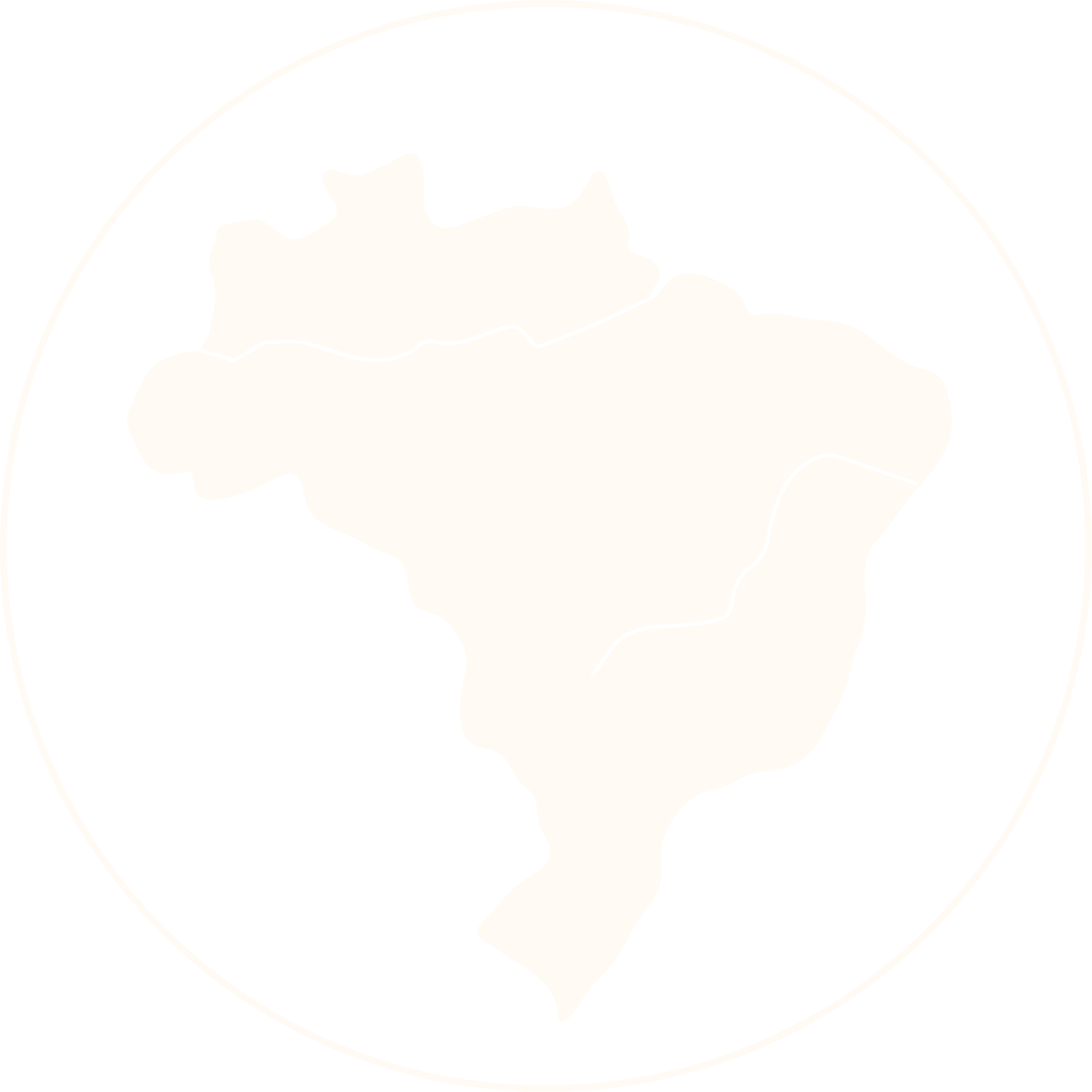 Brazil-white-fill.png