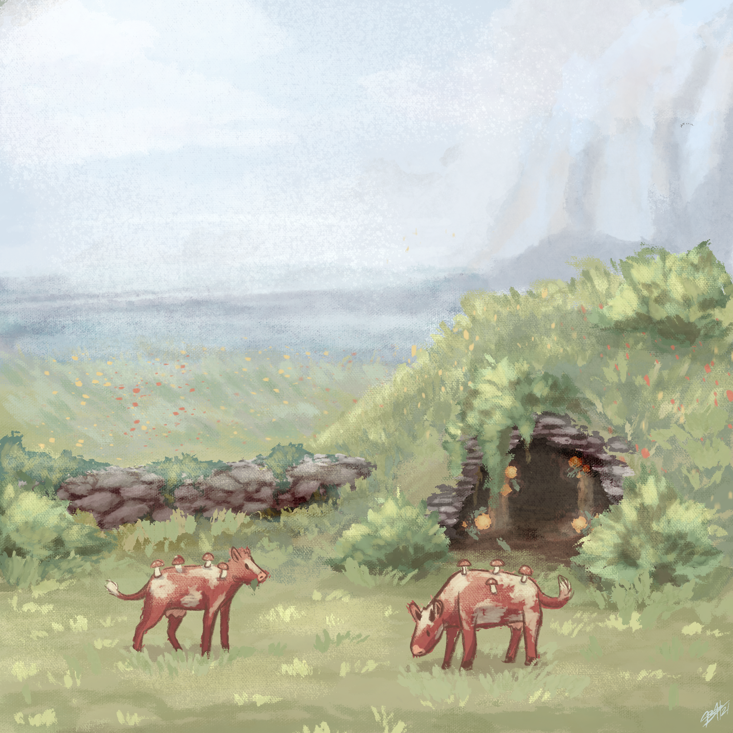 IMG_3803.png