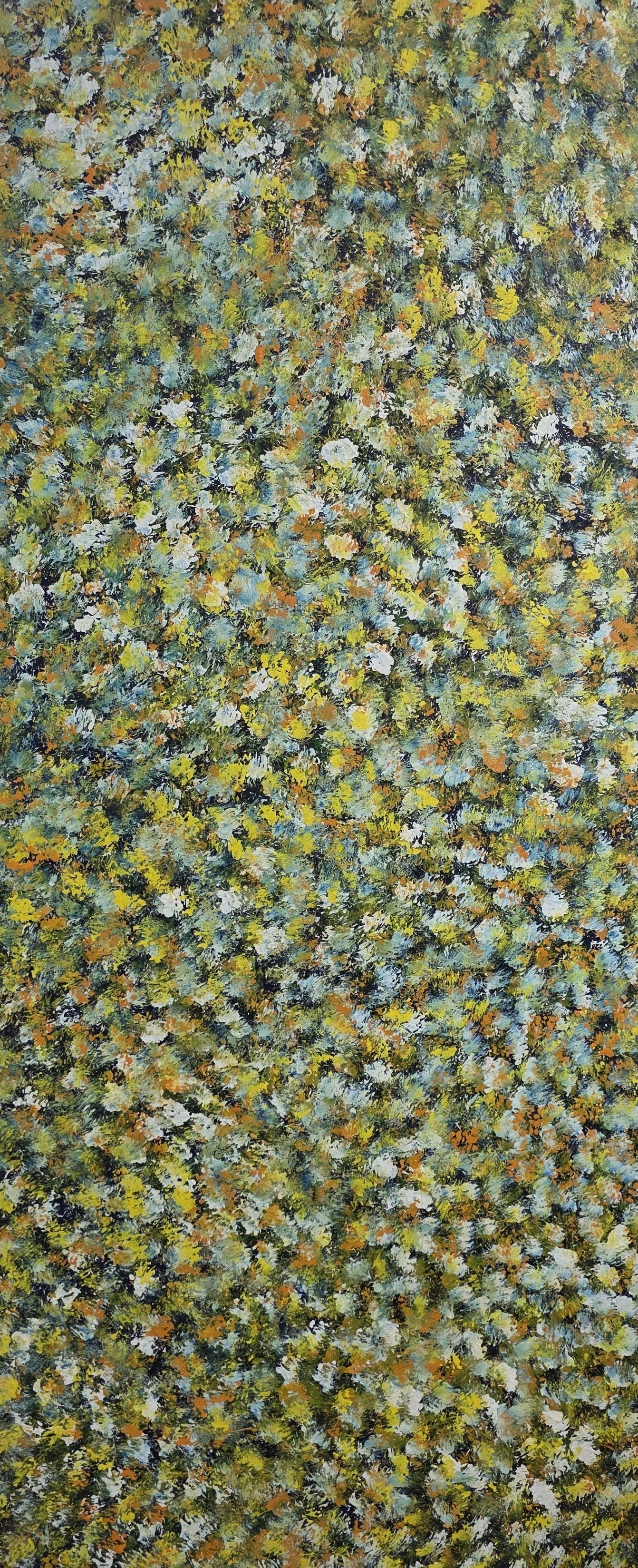 Wild Desert Flowers