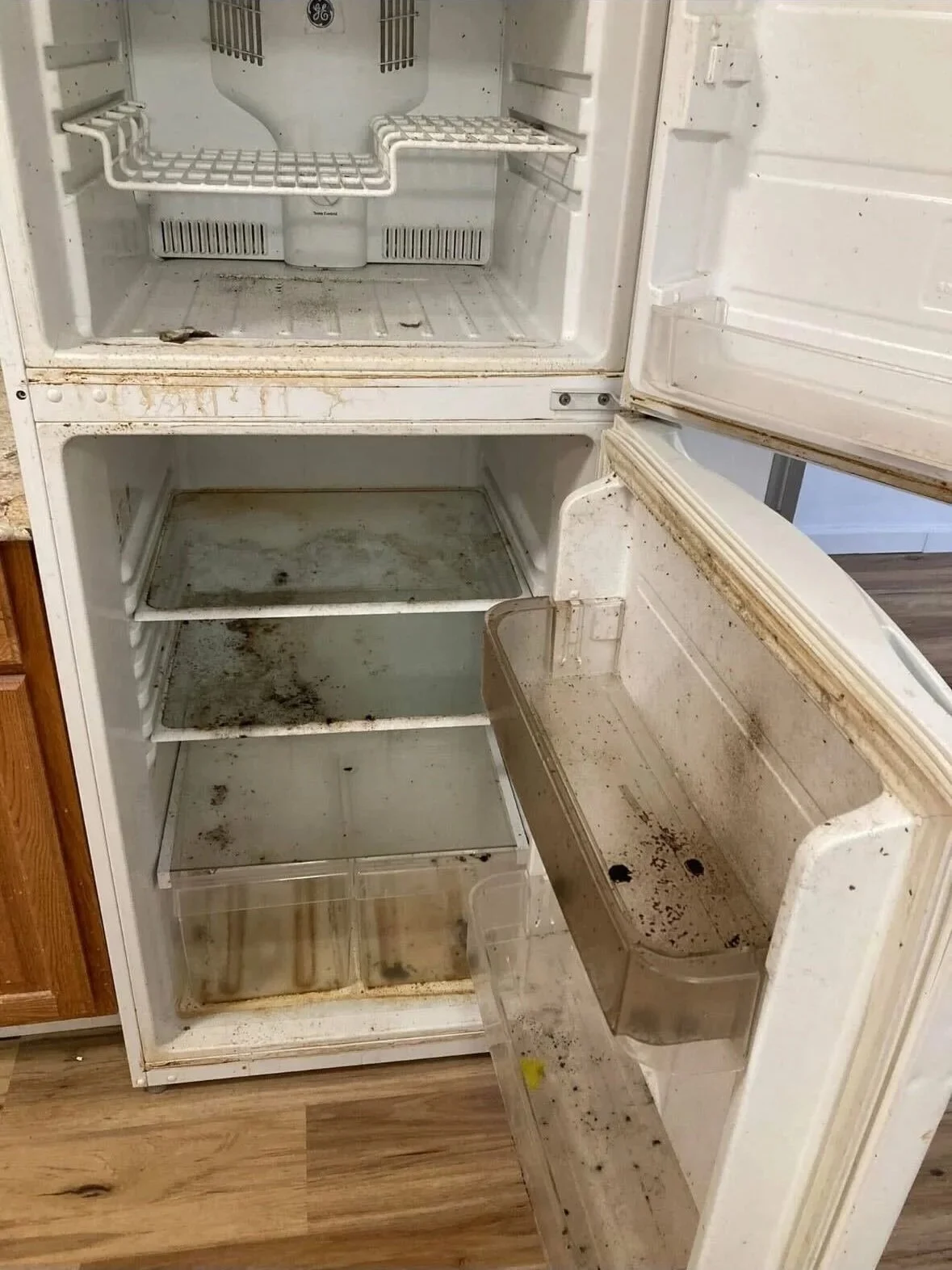Inside of a dirty, empty refrigerator with rust and grime on shelves and door