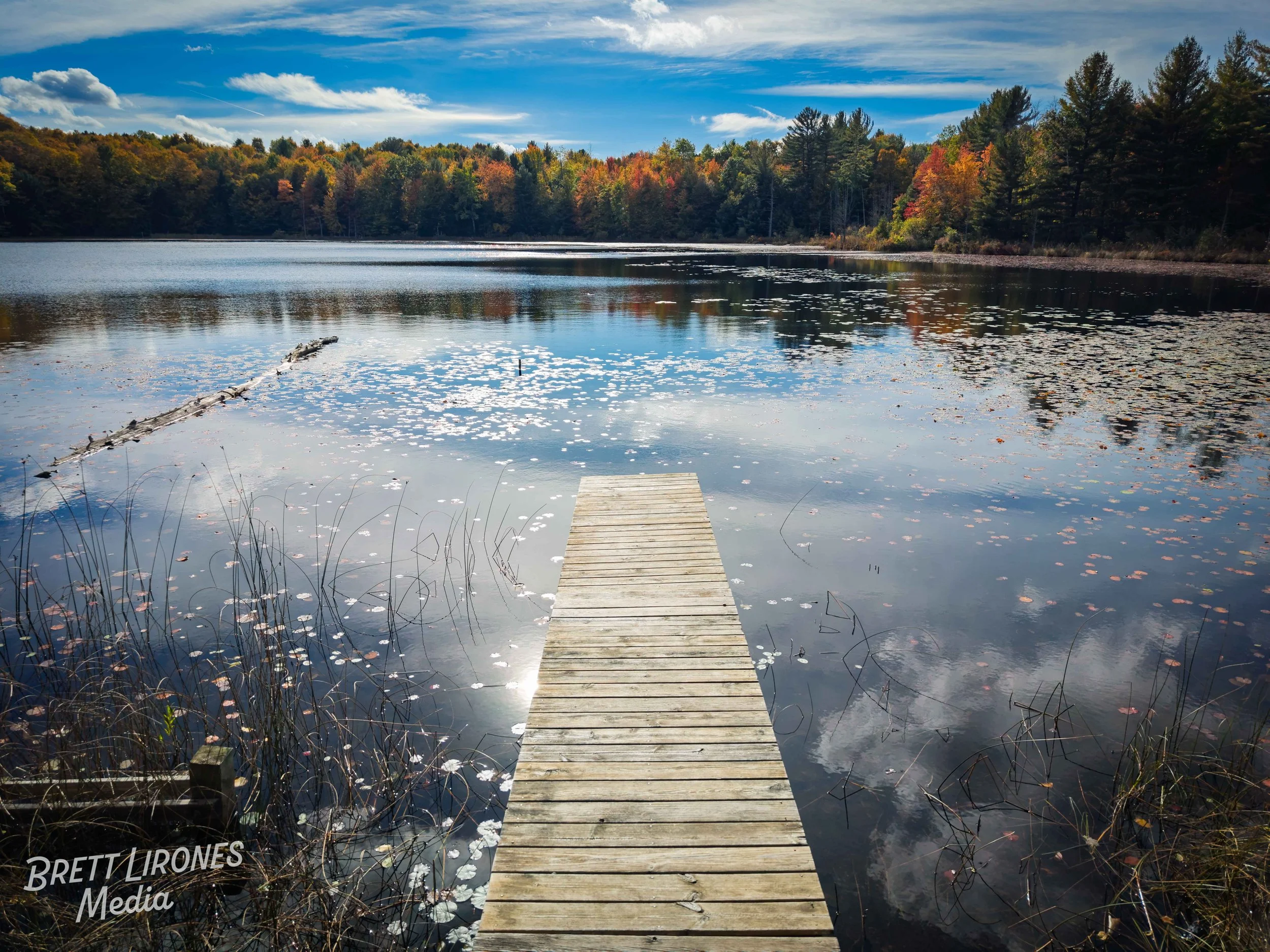 Watermark_web_DJI_20261008155926_0509_D.jpg