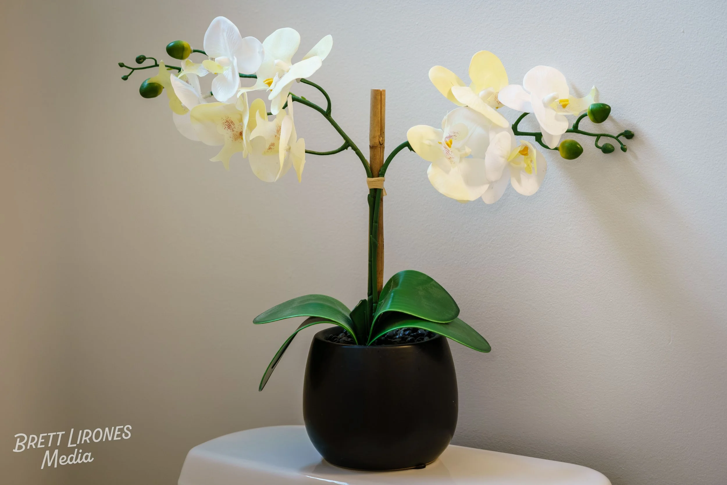 Watermark_web_A7R00657.jpg