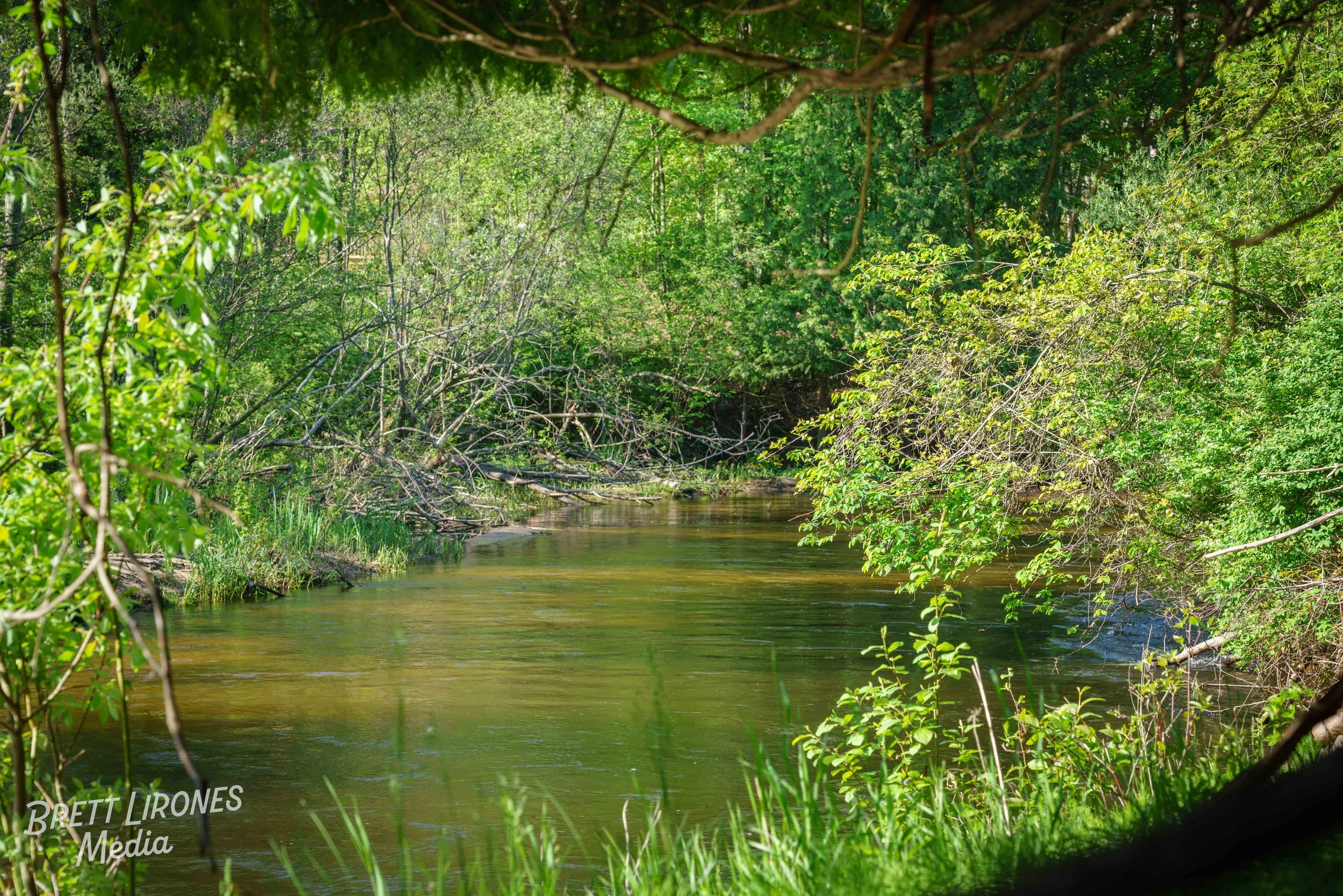 Watermark_web_A7R07327.jpg