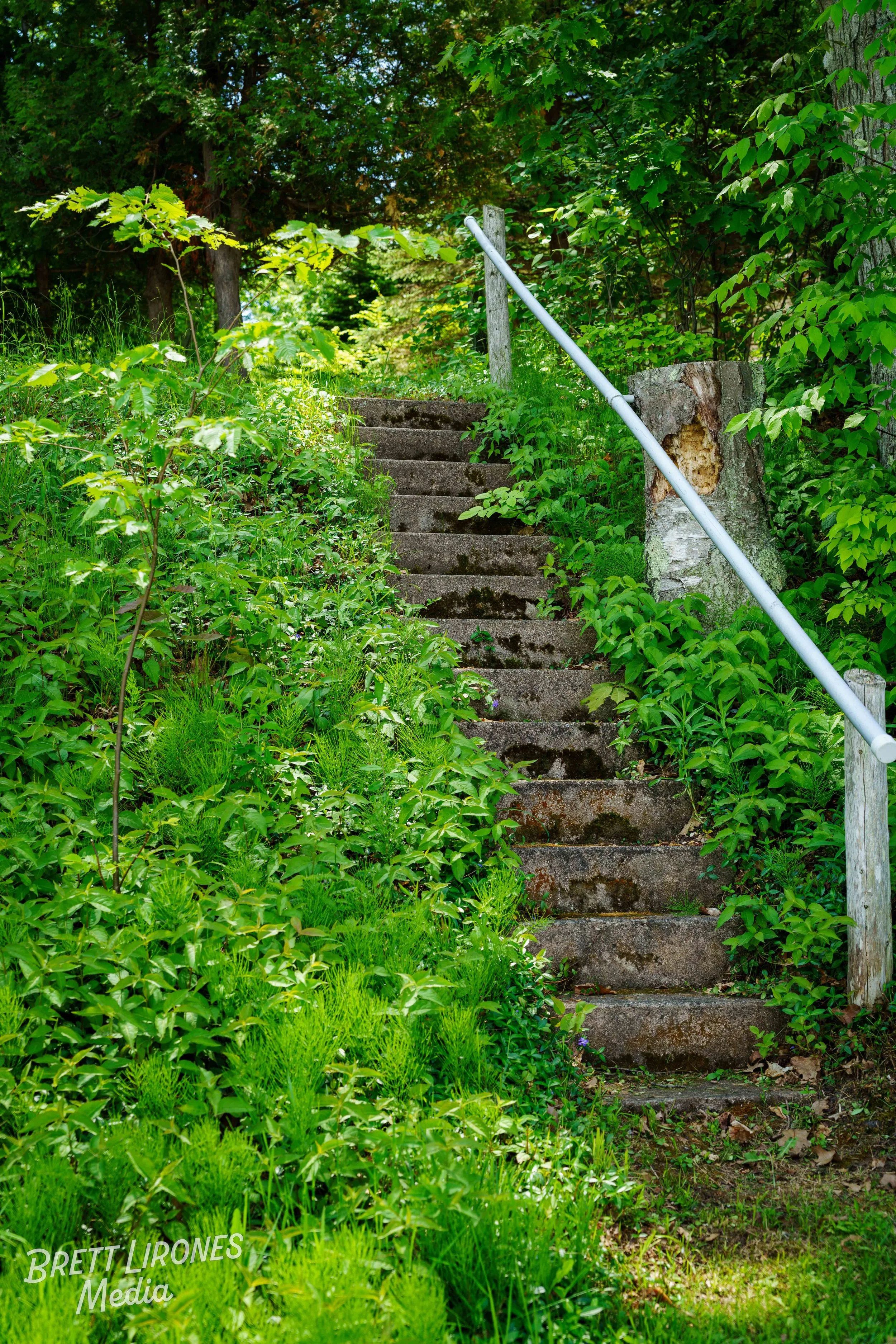 Watermark_web_A7R08796.jpg