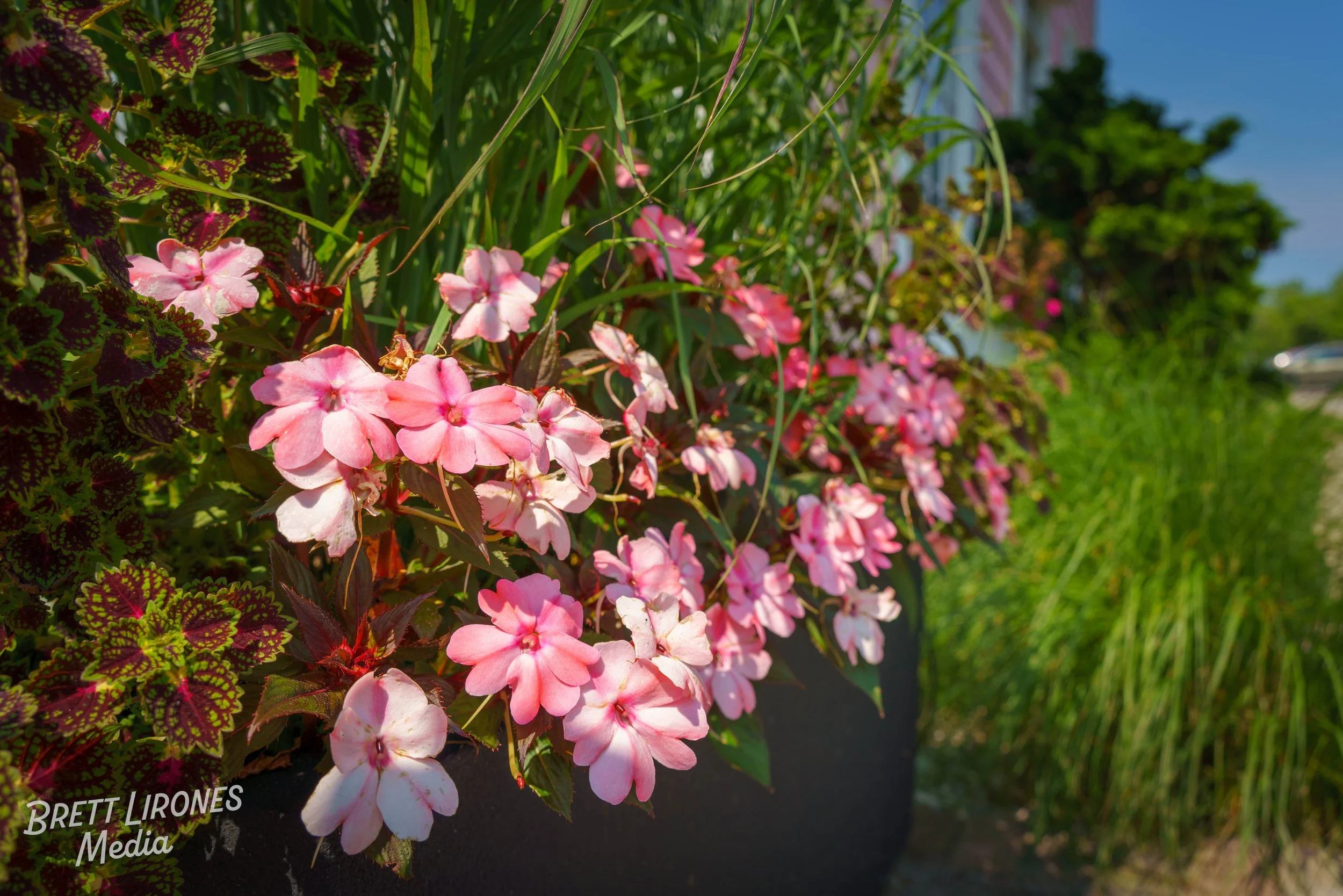 Watermark_web_A7R00951.jpg
