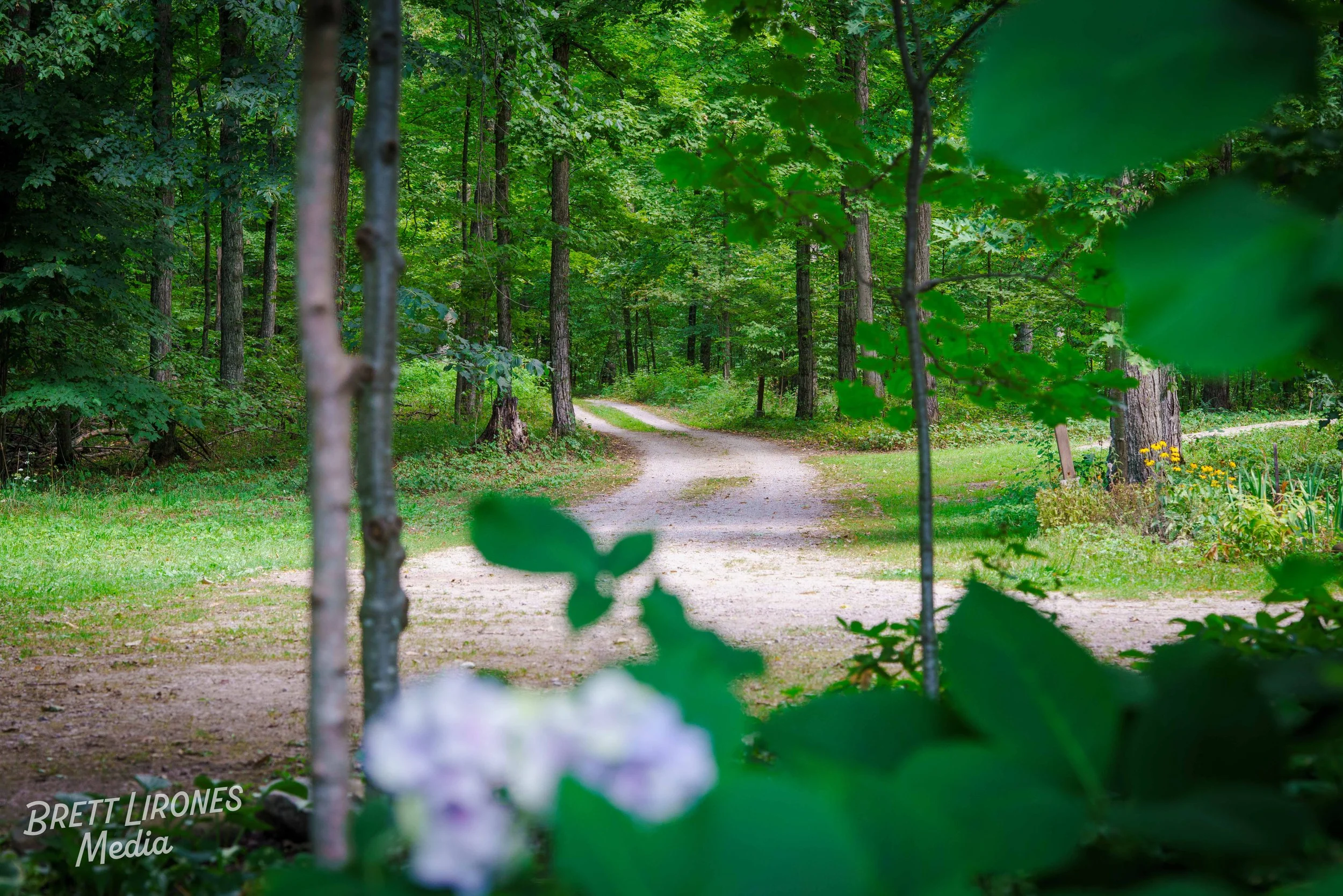 Watermark_web_A7R03037.jpg