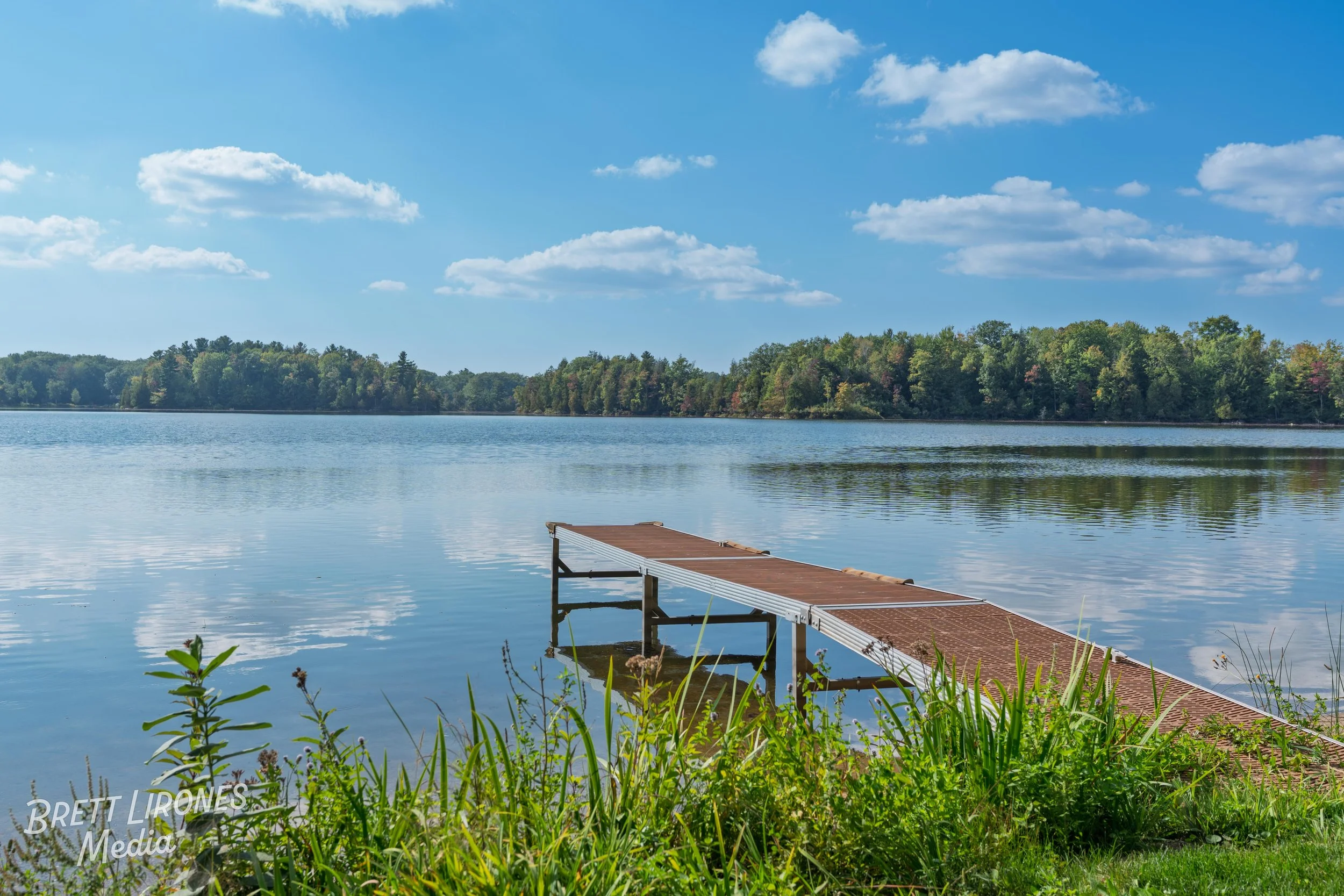 A lakeside scene with a wooden dock extending into calm water, surrounded by green grass and plants. In the background, there are trees along the shoreline under a partly cloudy blue sky.