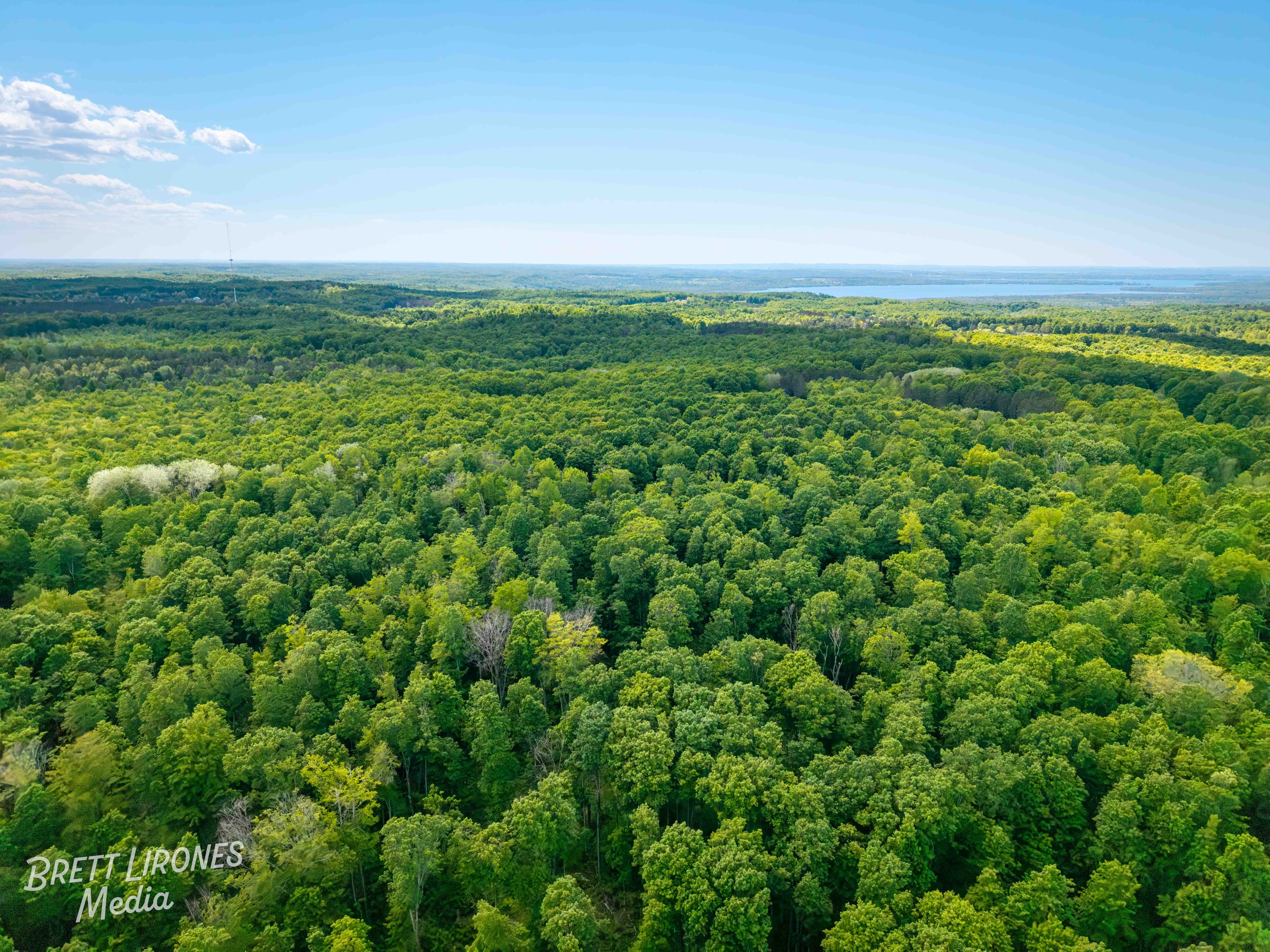 Watermark_web_DJI_20260602031517_0782_D.jpg