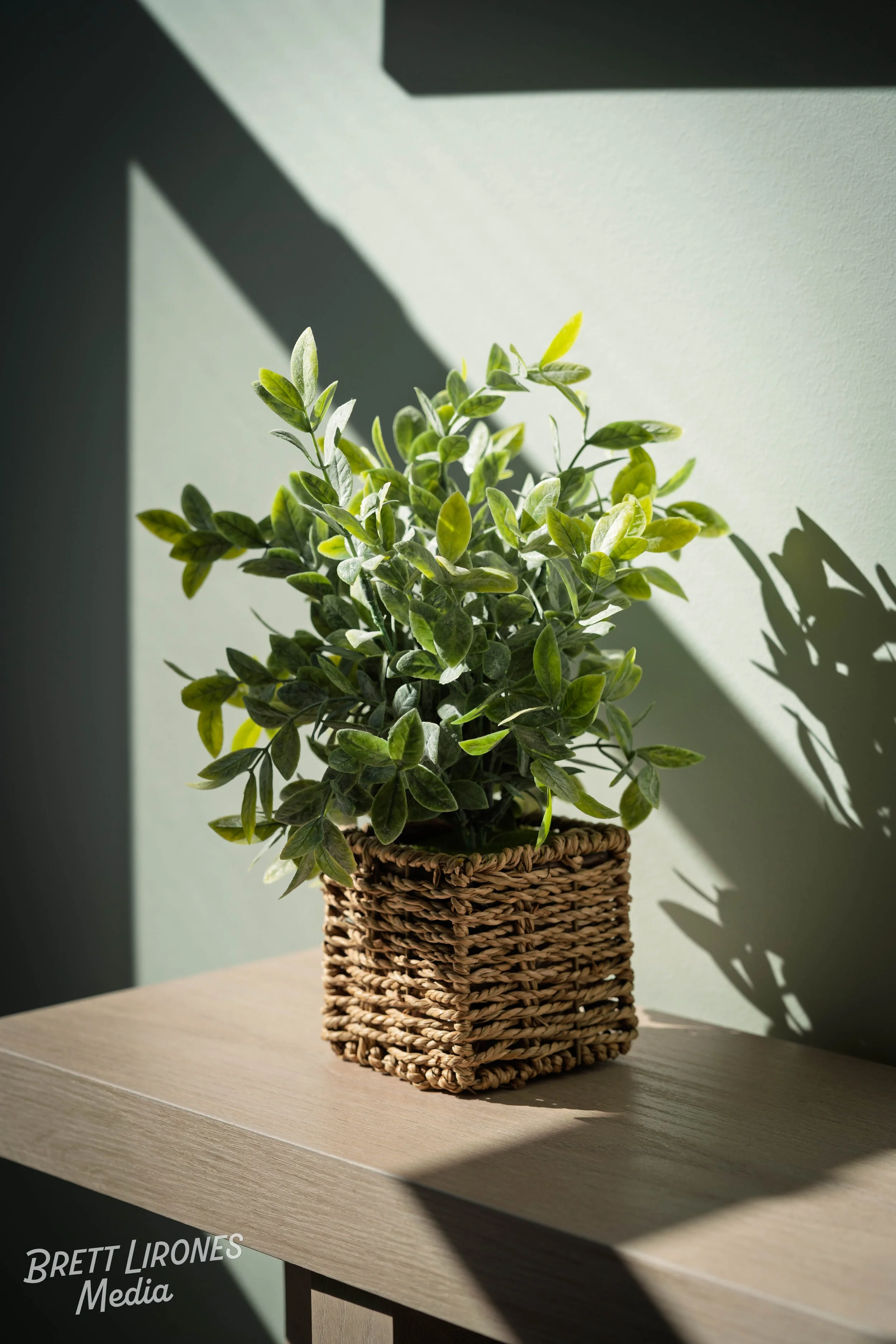 Watermark_web_A7R07243.jpg