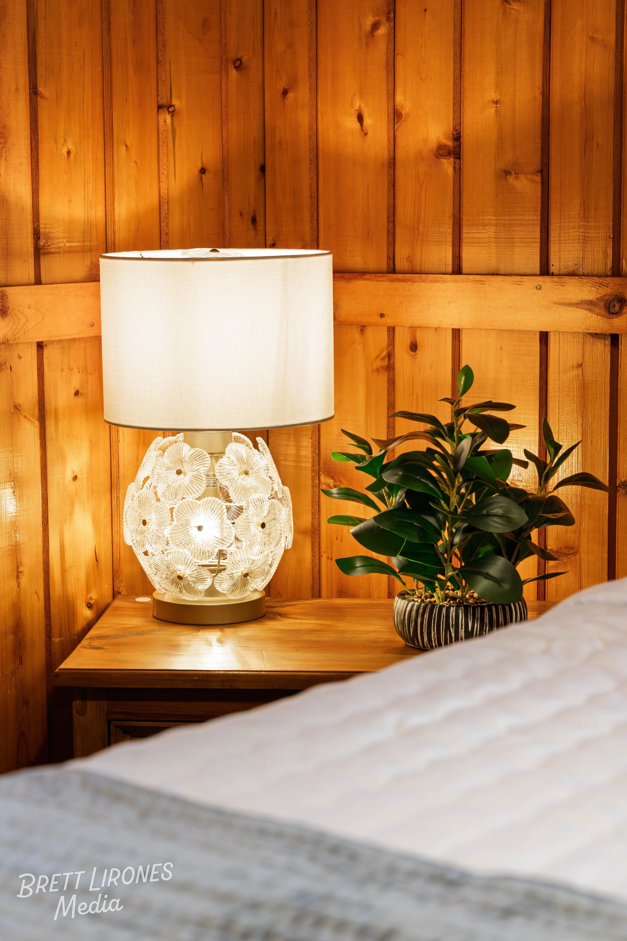 A bedside table with a decorative lamp and a potted green plant against a wooden-paneled wall.