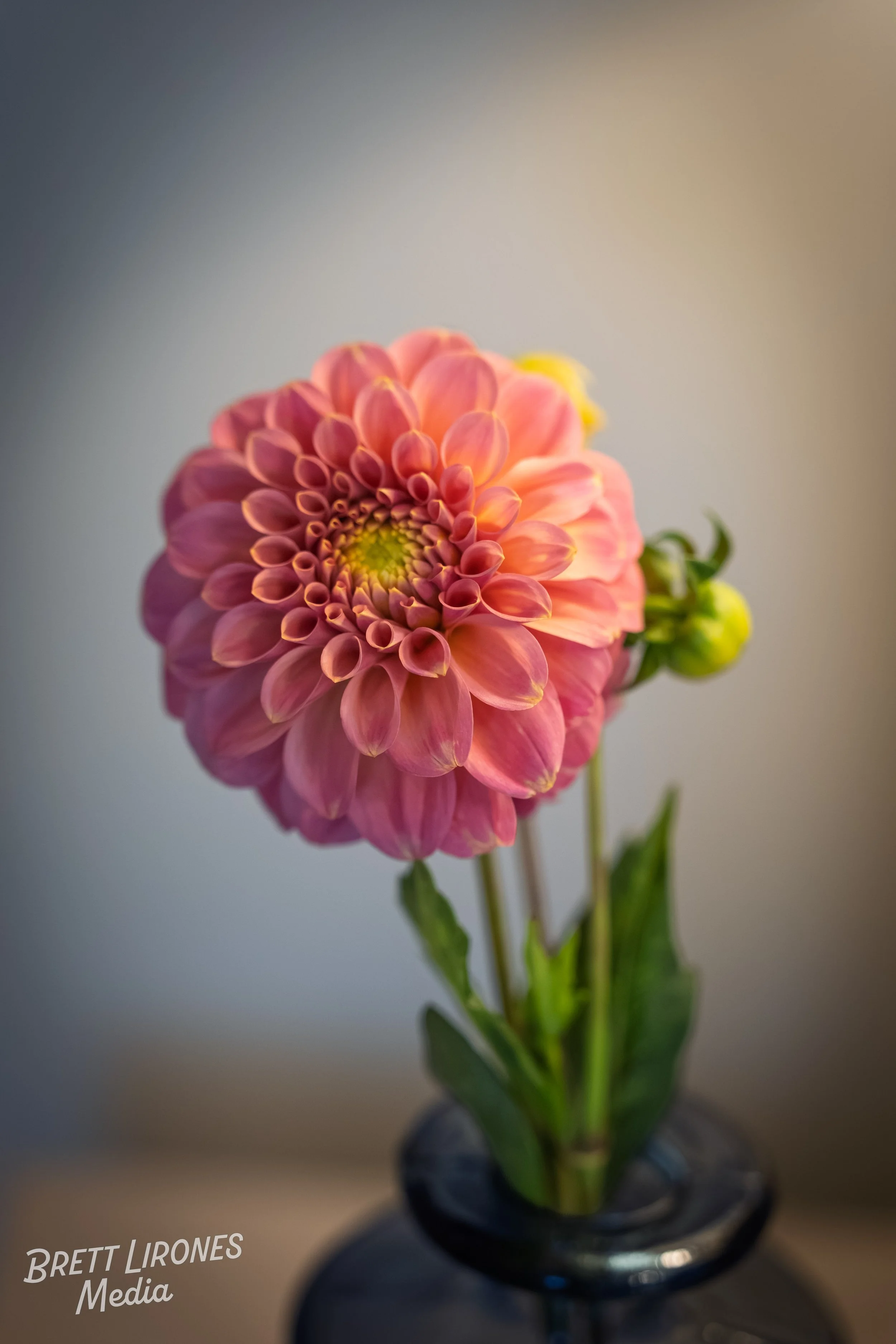 Watermark_web_A9303550.jpg