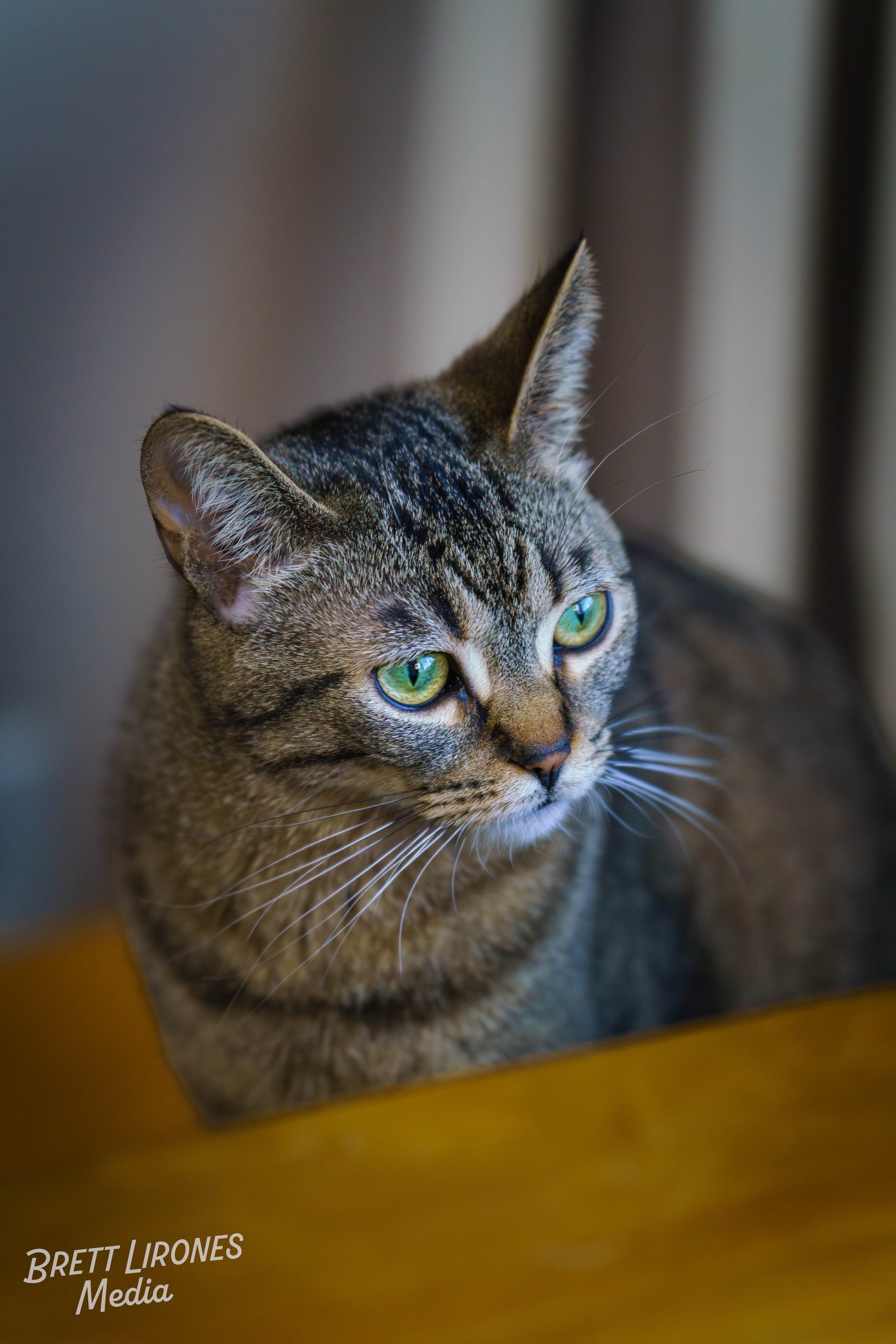 Watermark_web_A7R04740.jpg