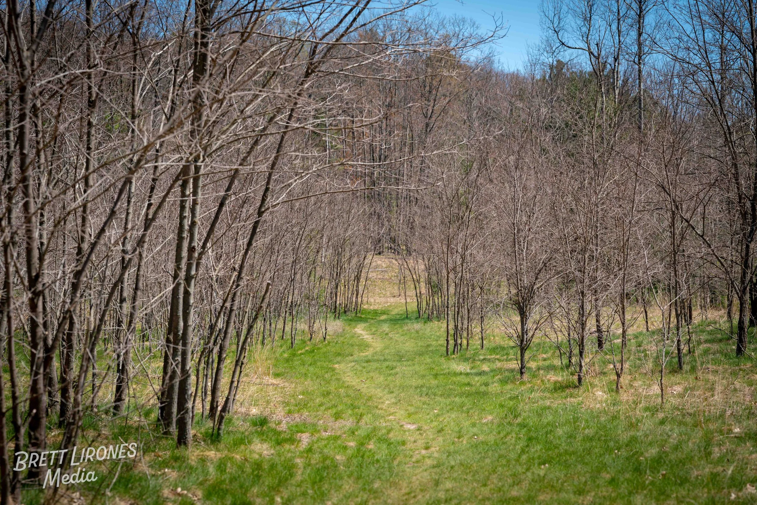 Watermark_web_A7R06470.jpg