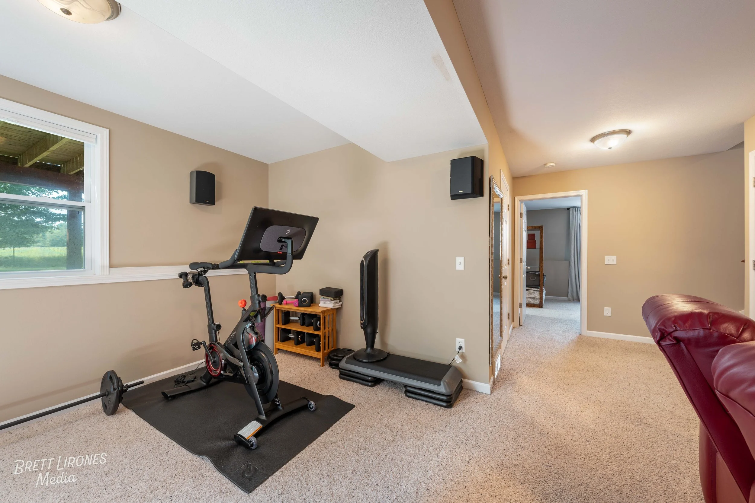 Home gym area with an exercise bike, treadmill, small black shelf with dumbbells, located by a window with a view of greenery outside, in a room with beige walls and carpeted floor.