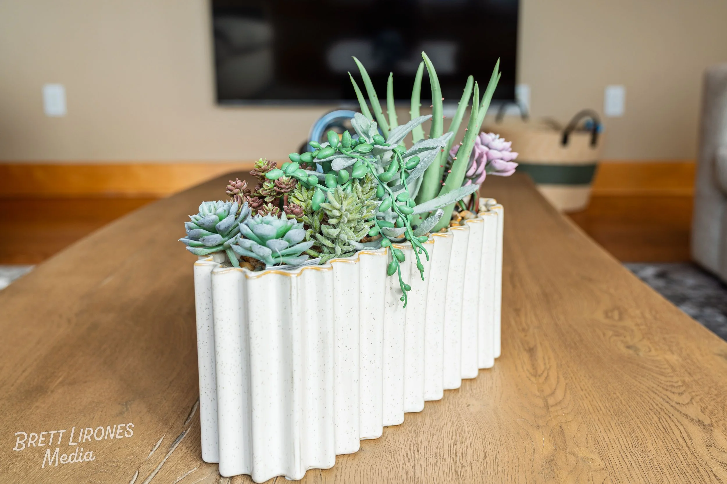 Indoor plant arrangement of various succulents in a white ceramic ribbed planter on a wooden table.