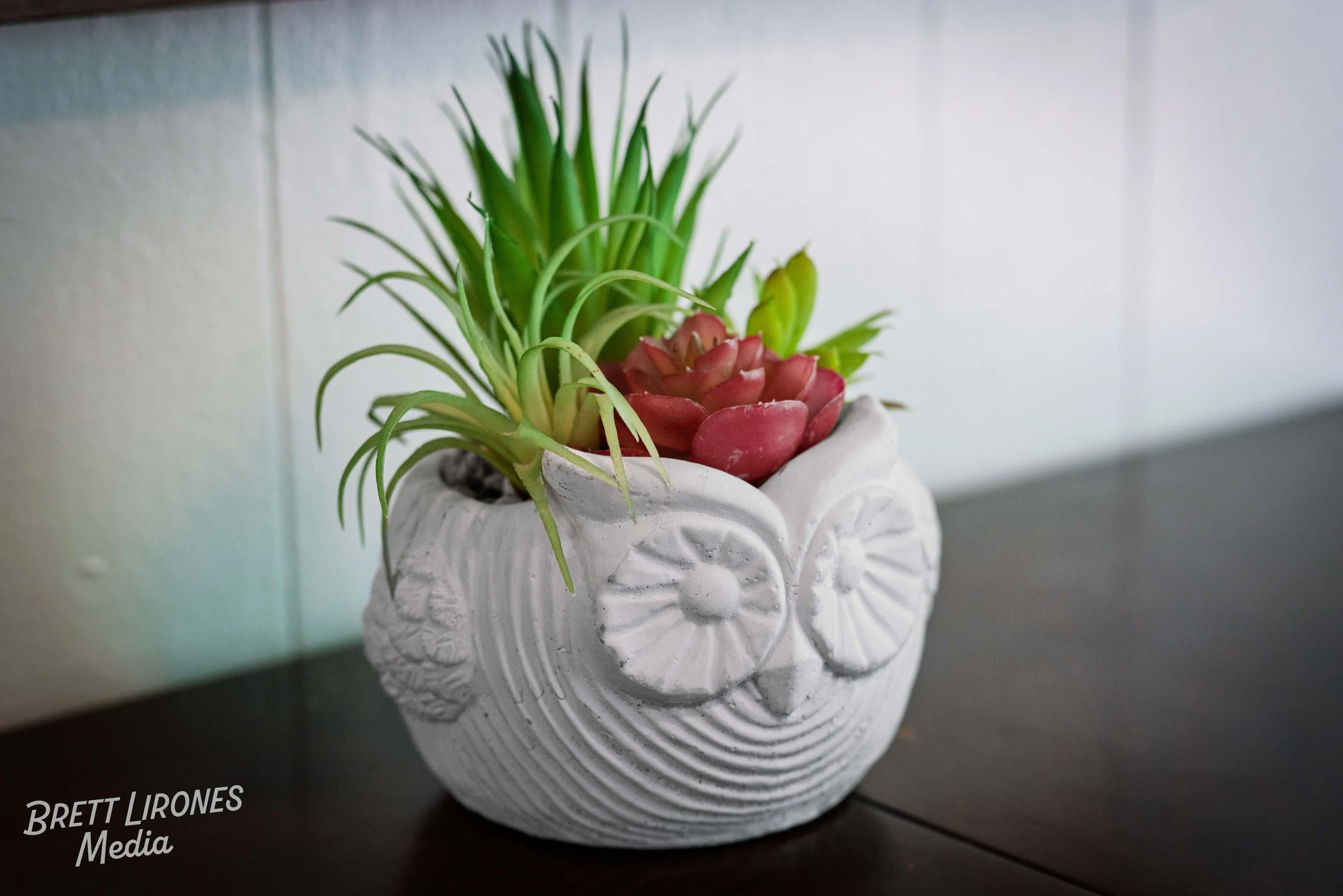 Watermark_web_A7R05412.jpg