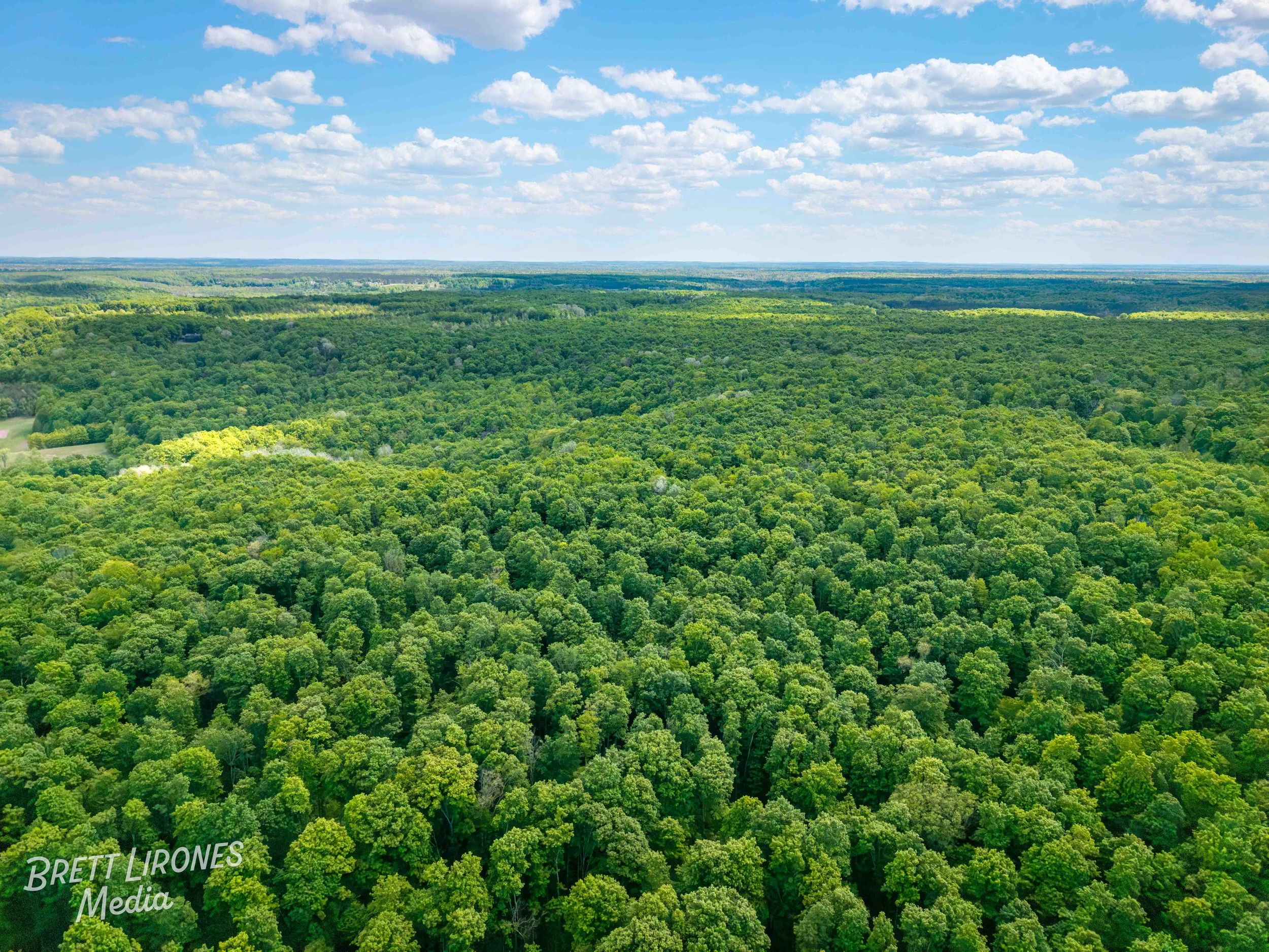 Watermark_web_DJI_20260602031508_0780_D.jpg