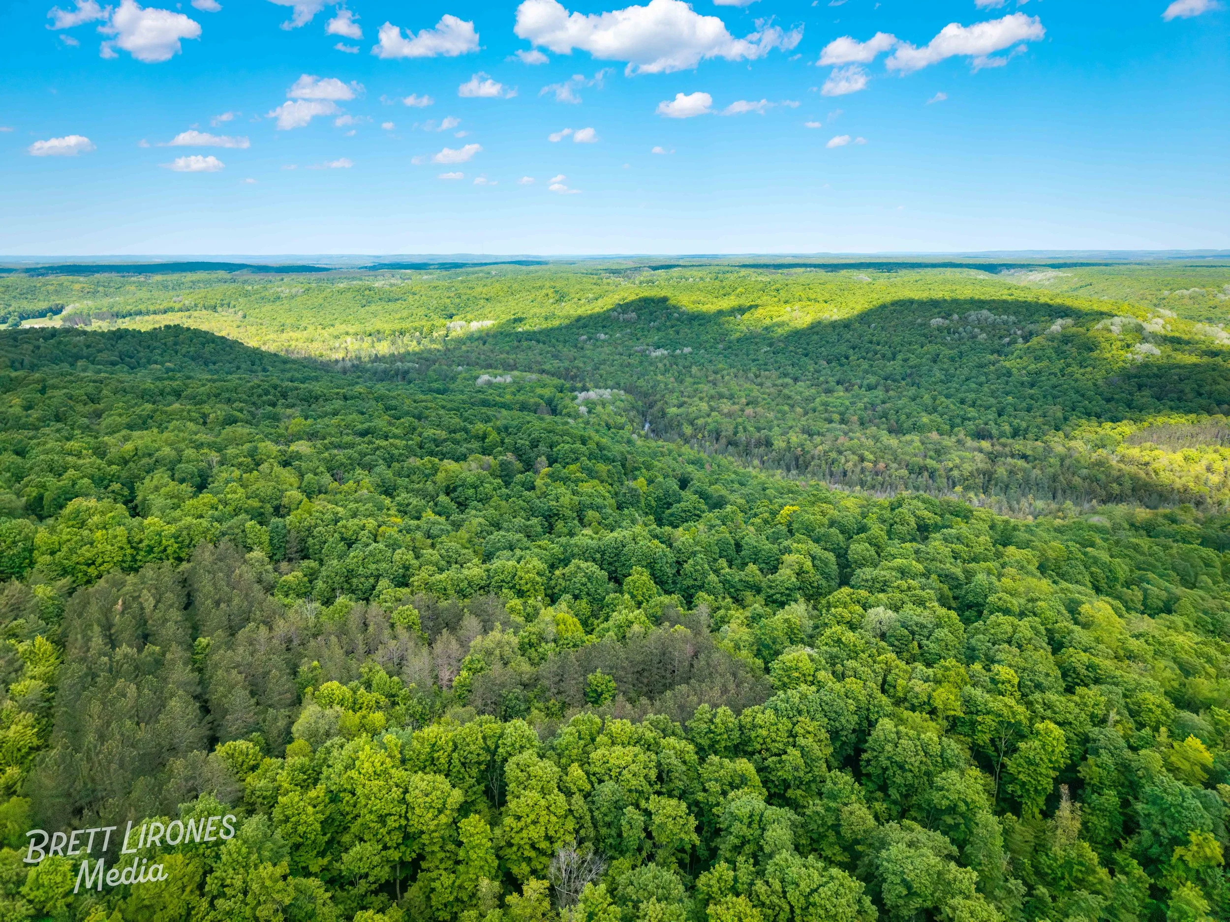 Watermark_web_DJI_20260602031538_0785_D.jpg