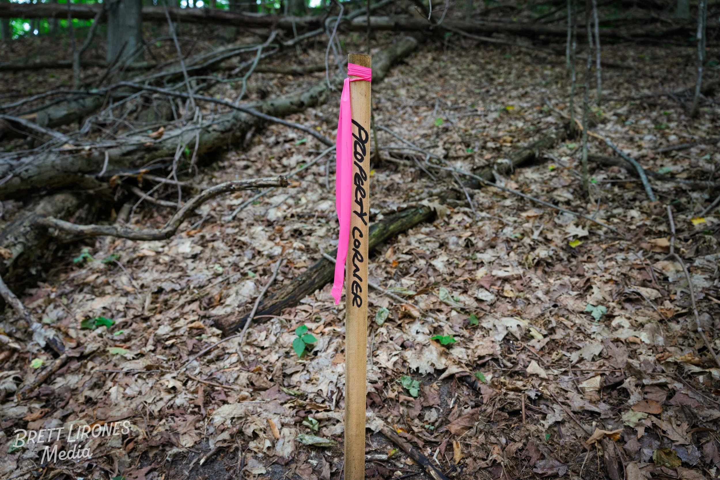 Watermark_web_A7R03084.jpg