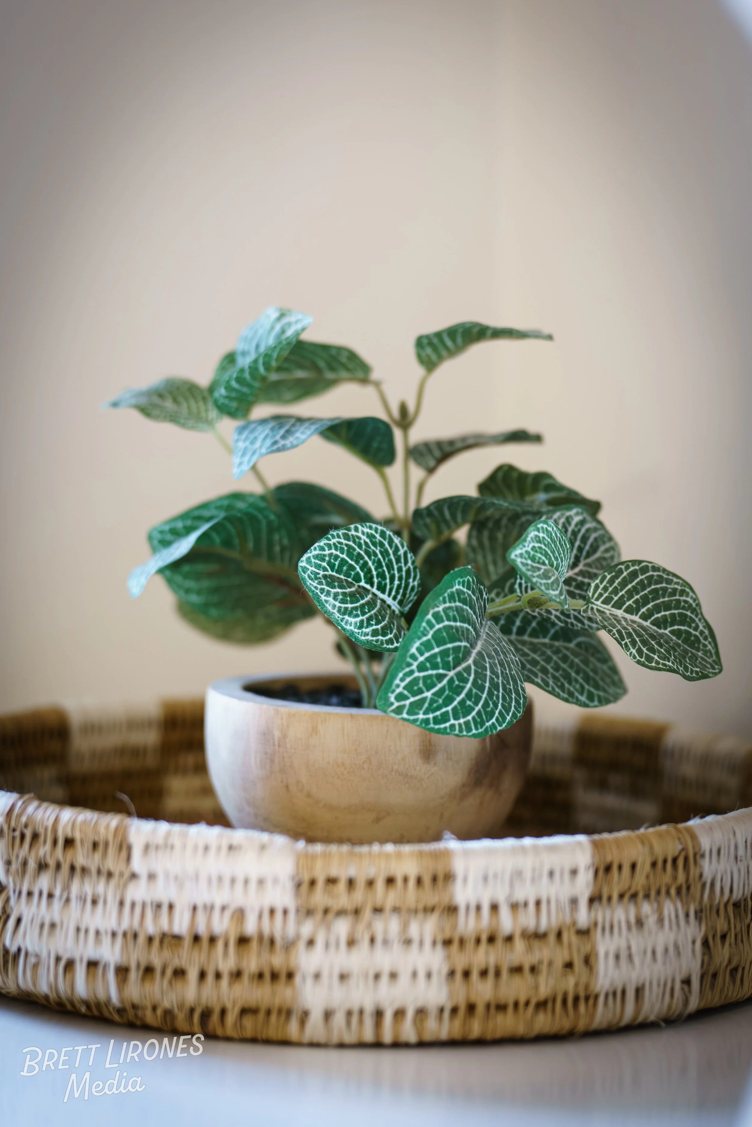 Watermark_web_A7R05929.jpg