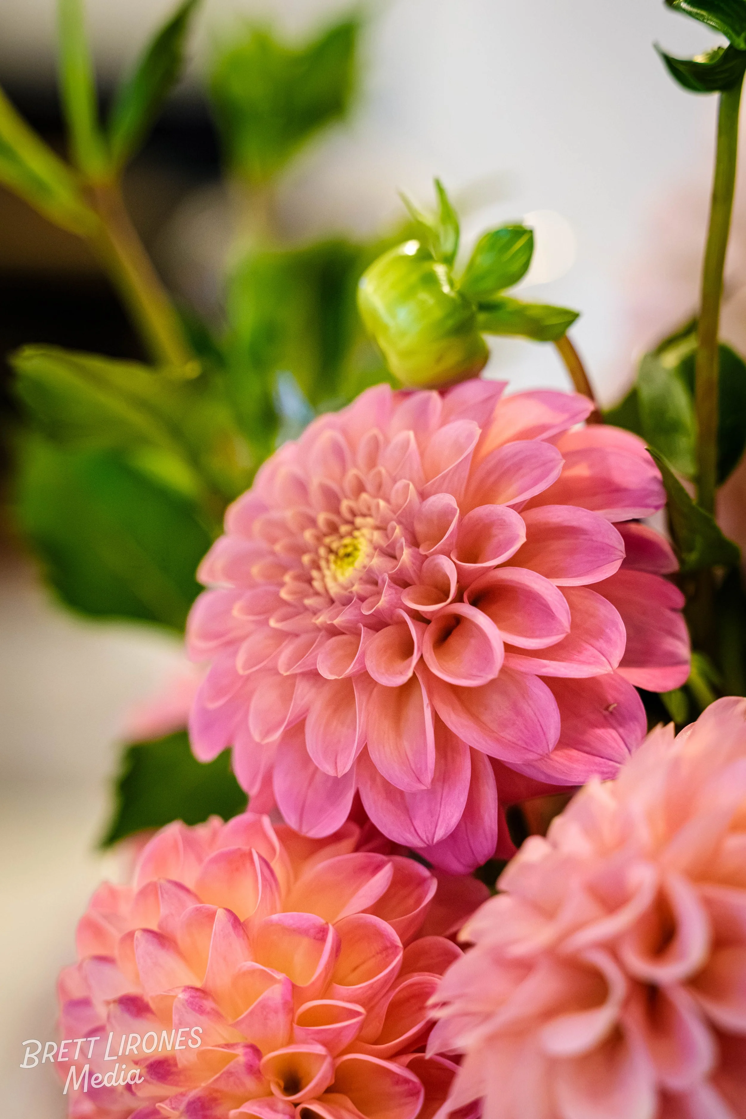 Watermark_web_A9303726.jpg
