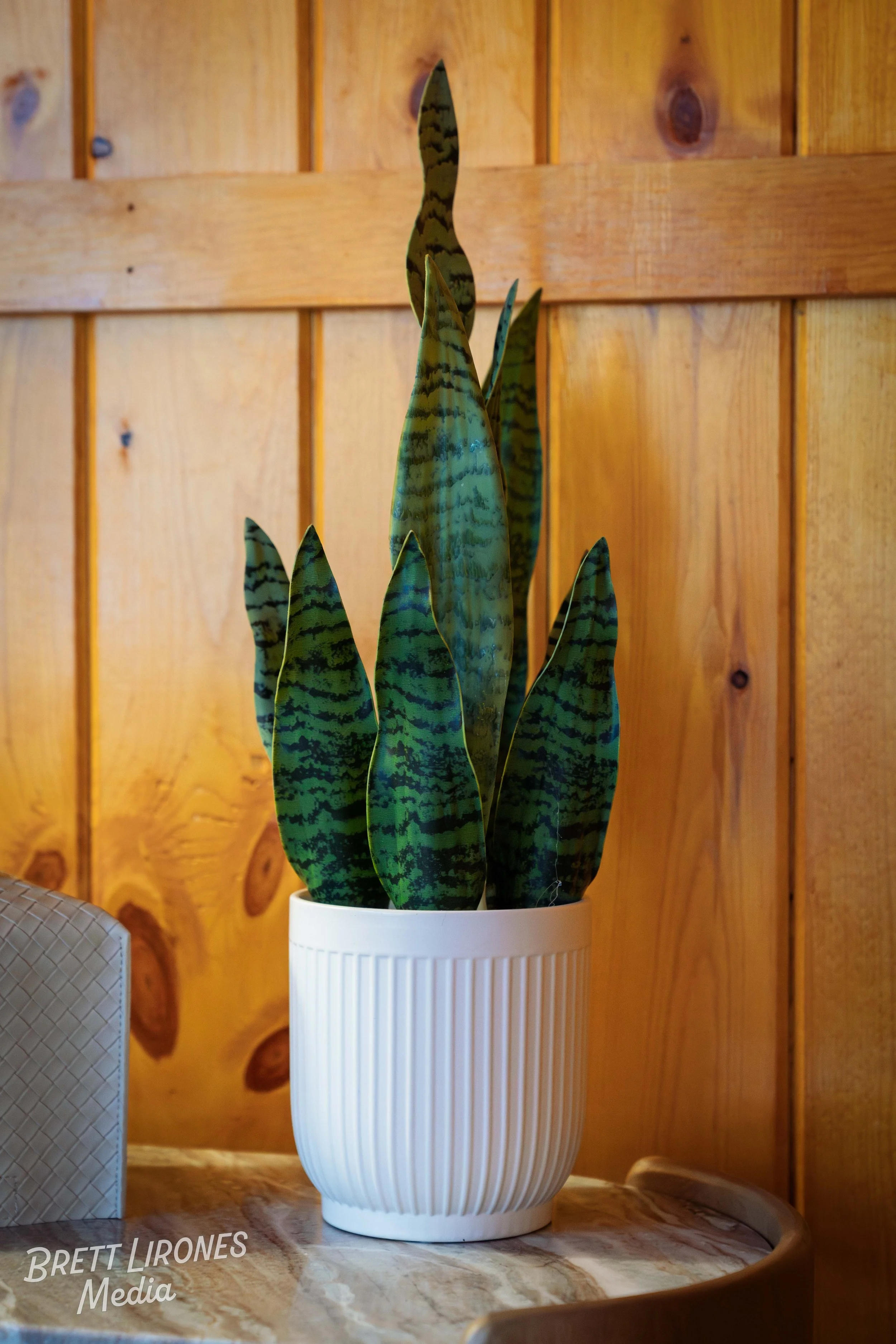 A potted snake plant with tall, green, striped leaves on a wooden table with a wood-paneled wall in the background.