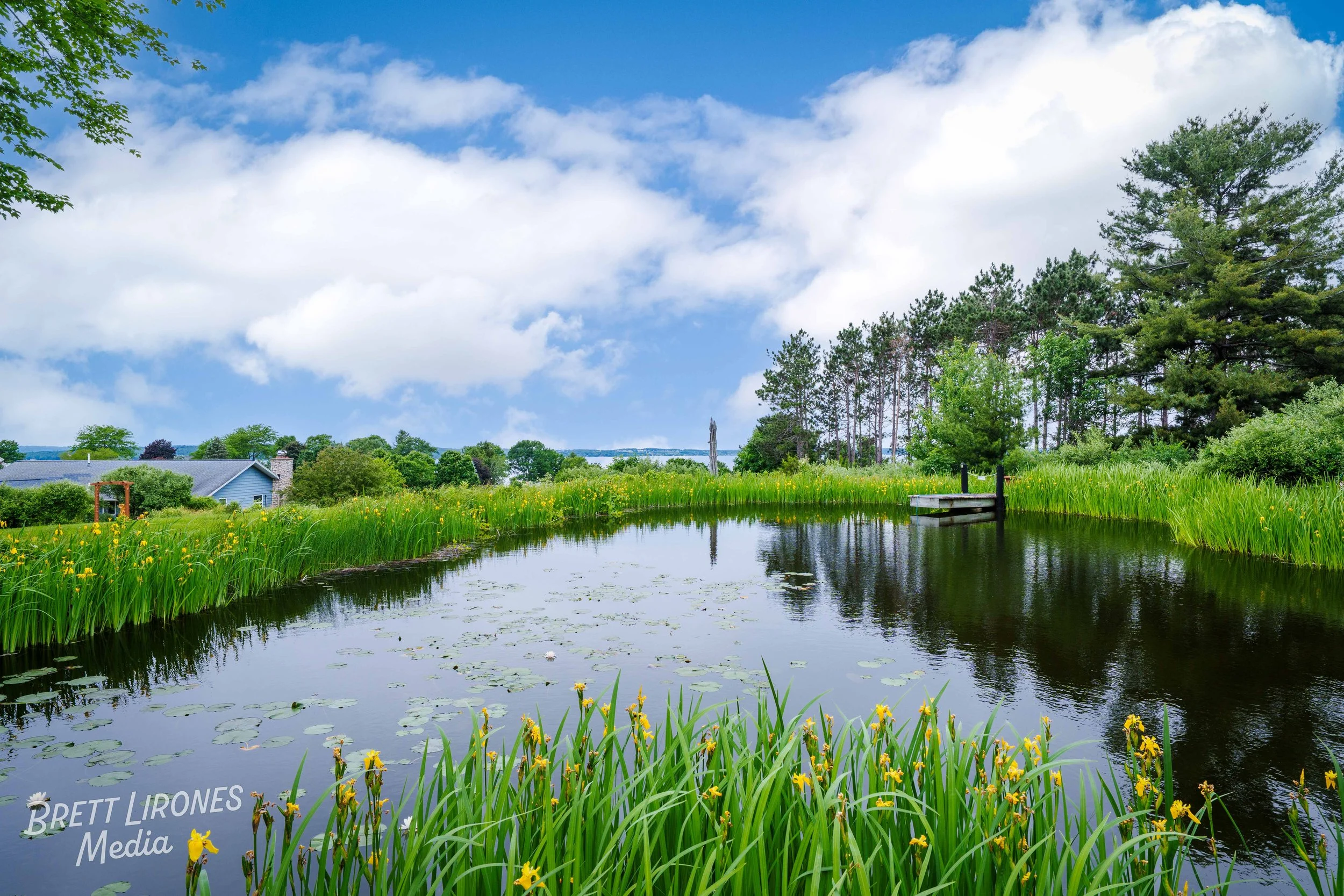 Watermark_web_A7402963-Edit.jpg