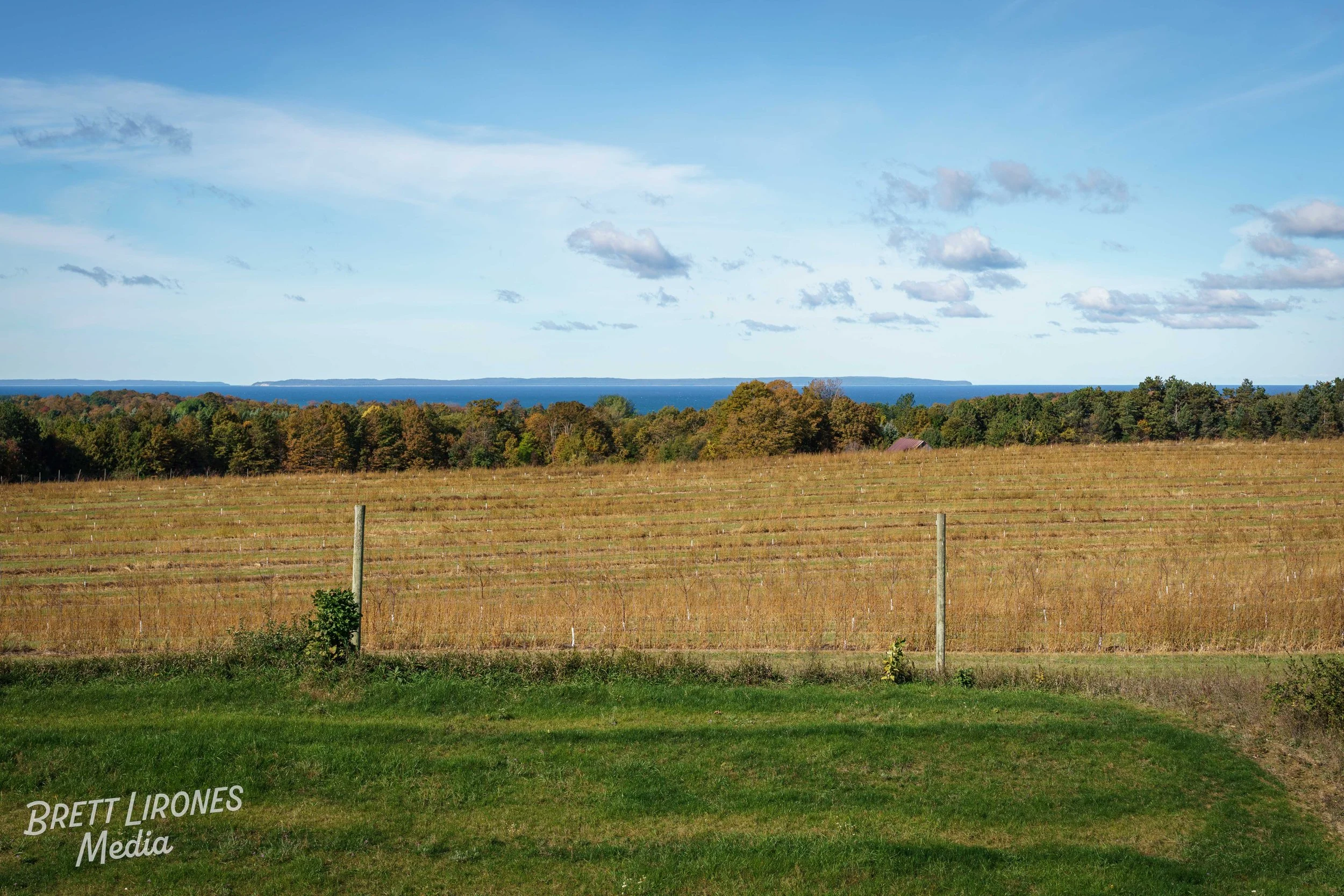 Watermark_web_A7R07230.jpg